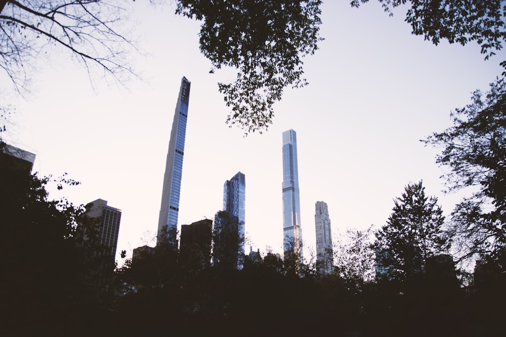a group of tall buildings towering over a forest