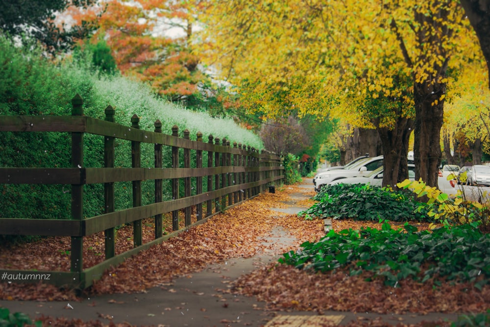 a wooden fence next to a lush green forest