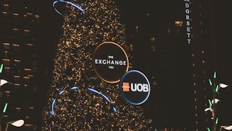 a large christmas tree is lit up at night