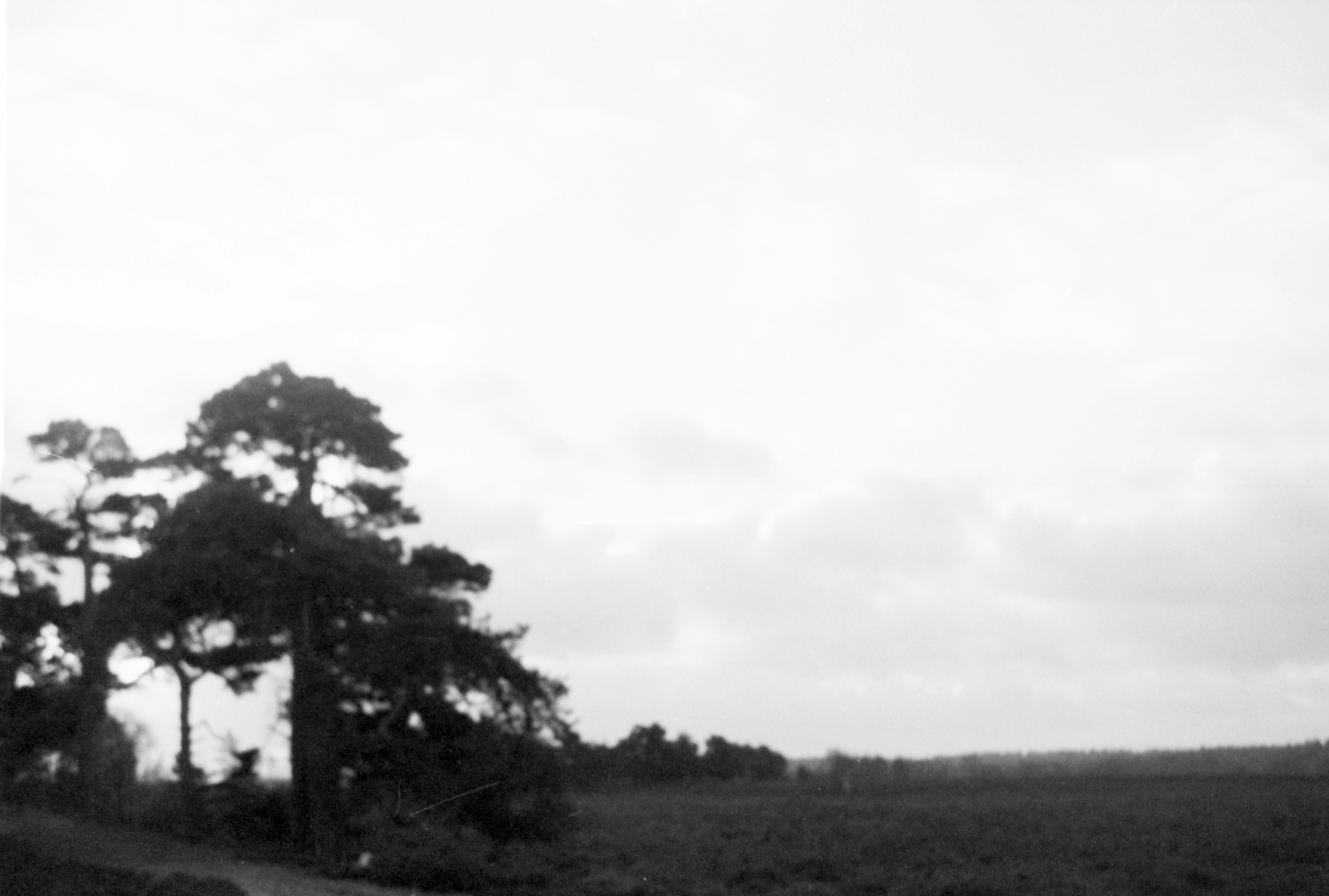 Photo by anniespratt