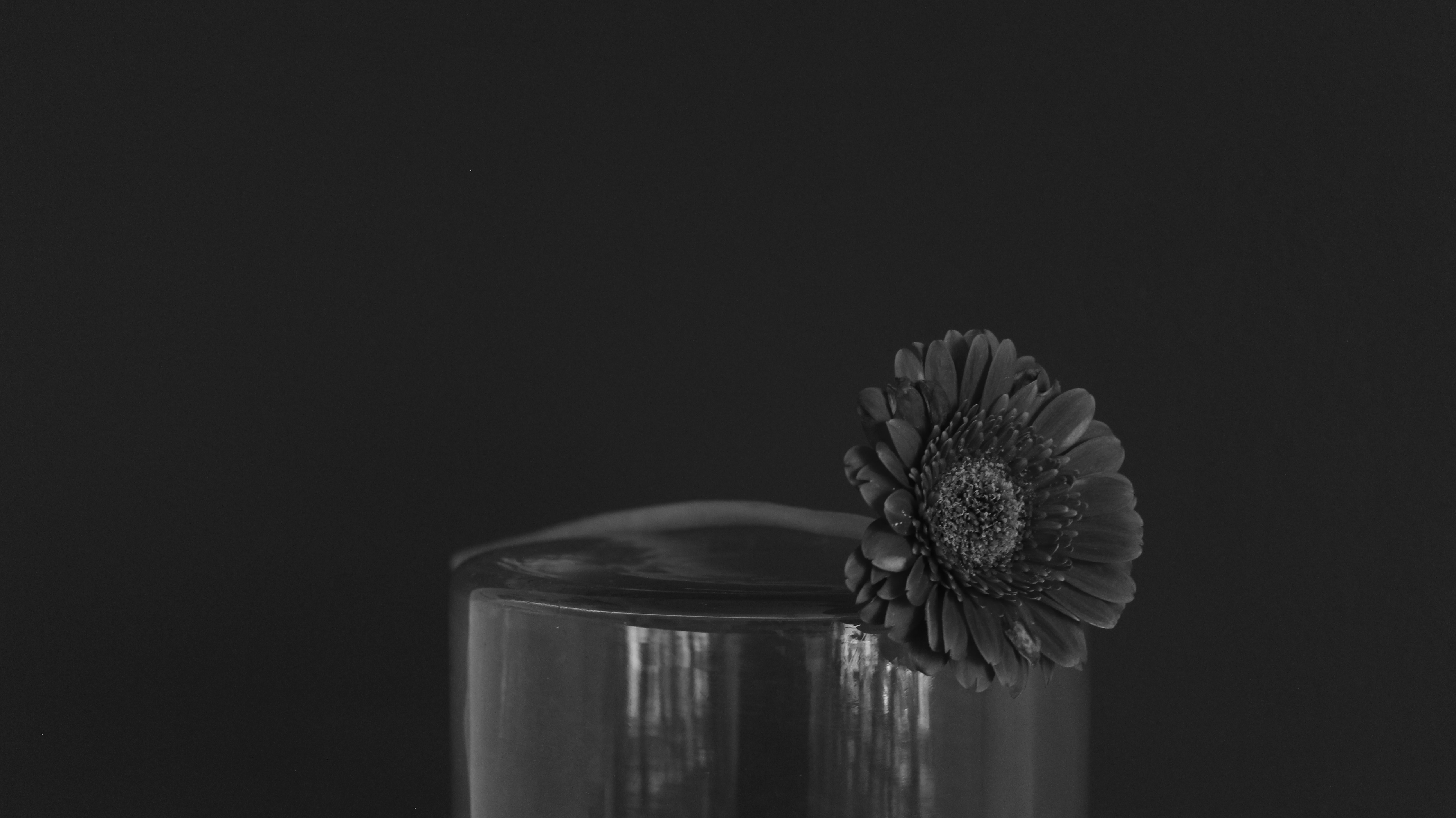 Photo by konradzduniak