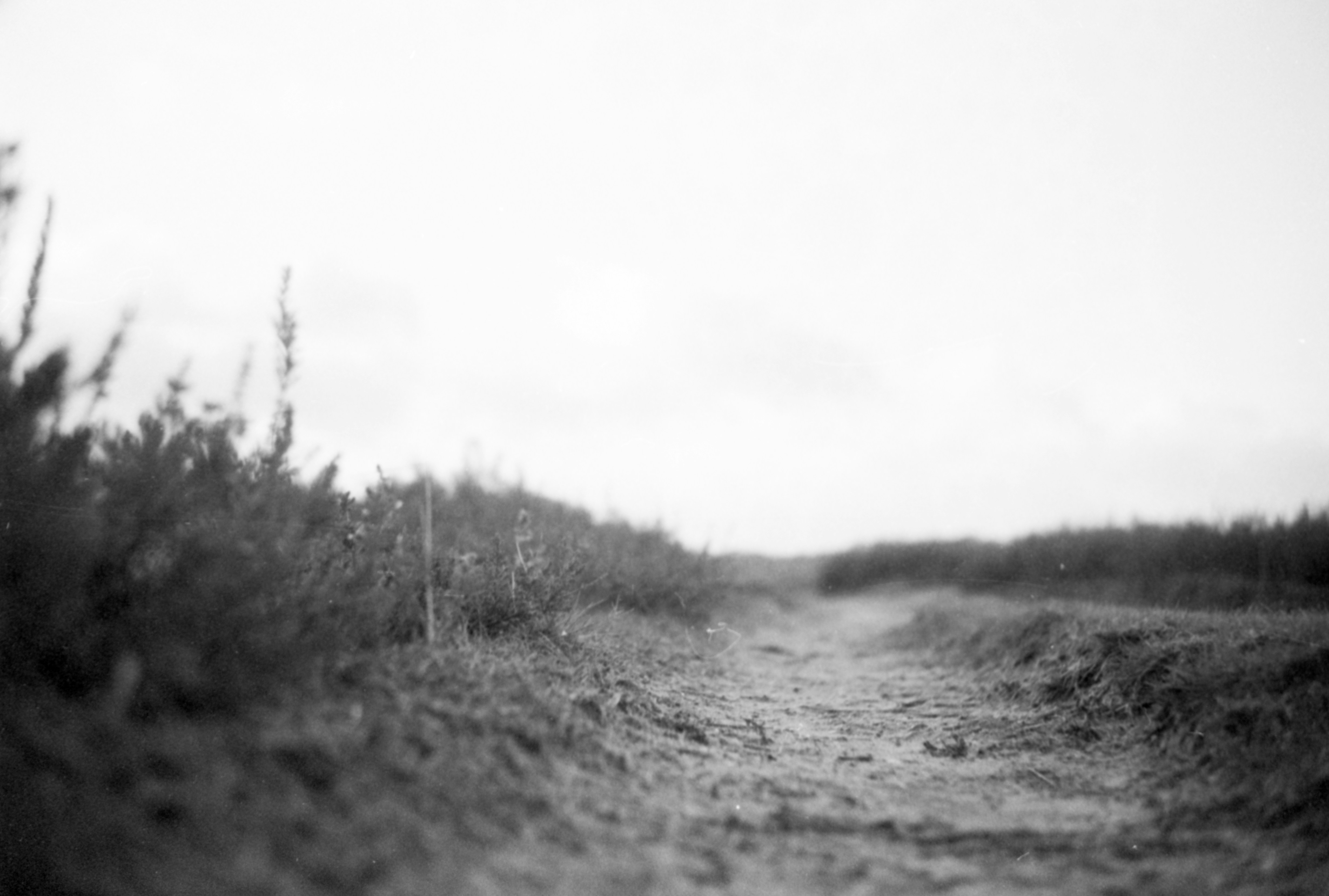 Photo by anniespratt