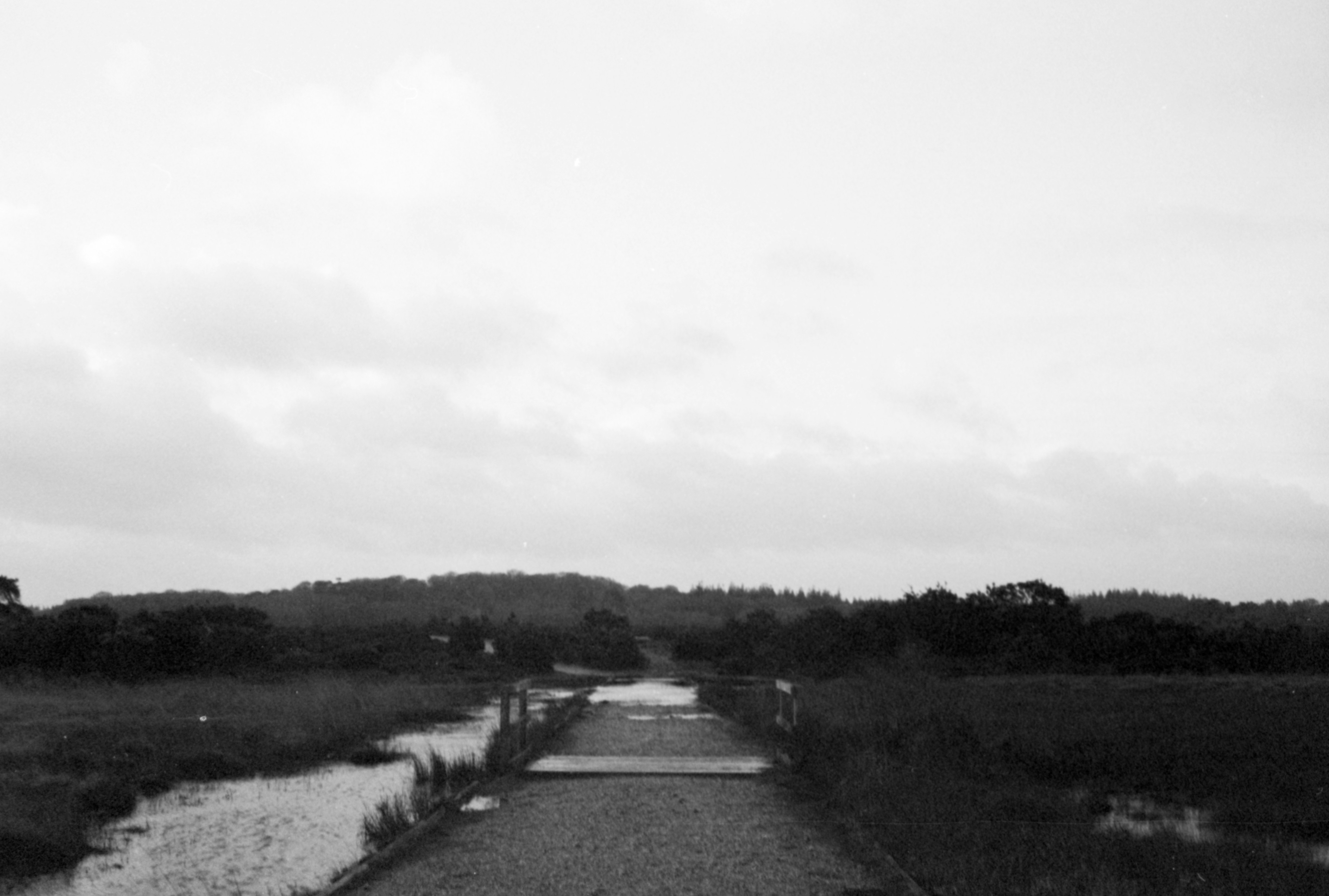 Photo by anniespratt