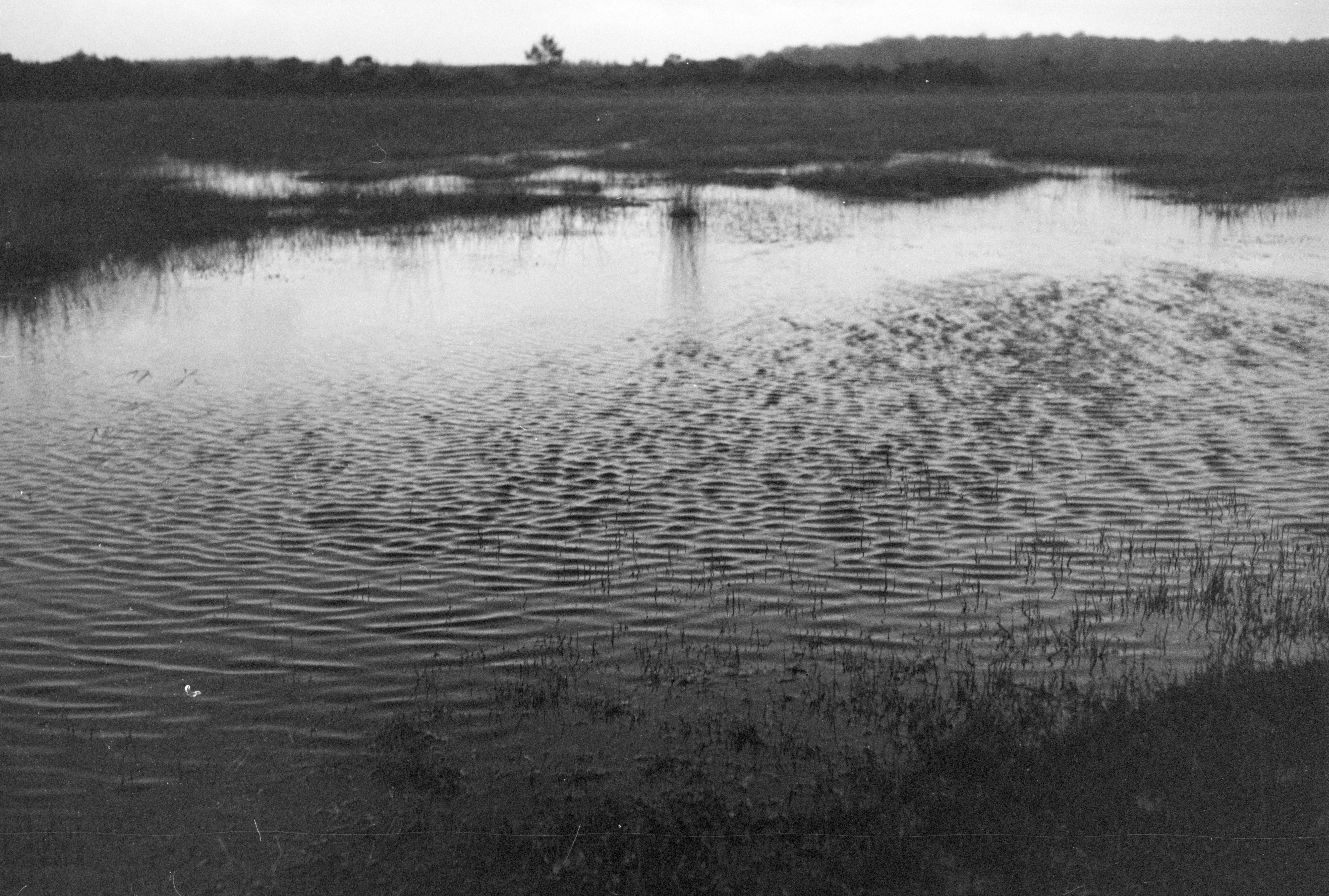 Photo by anniespratt