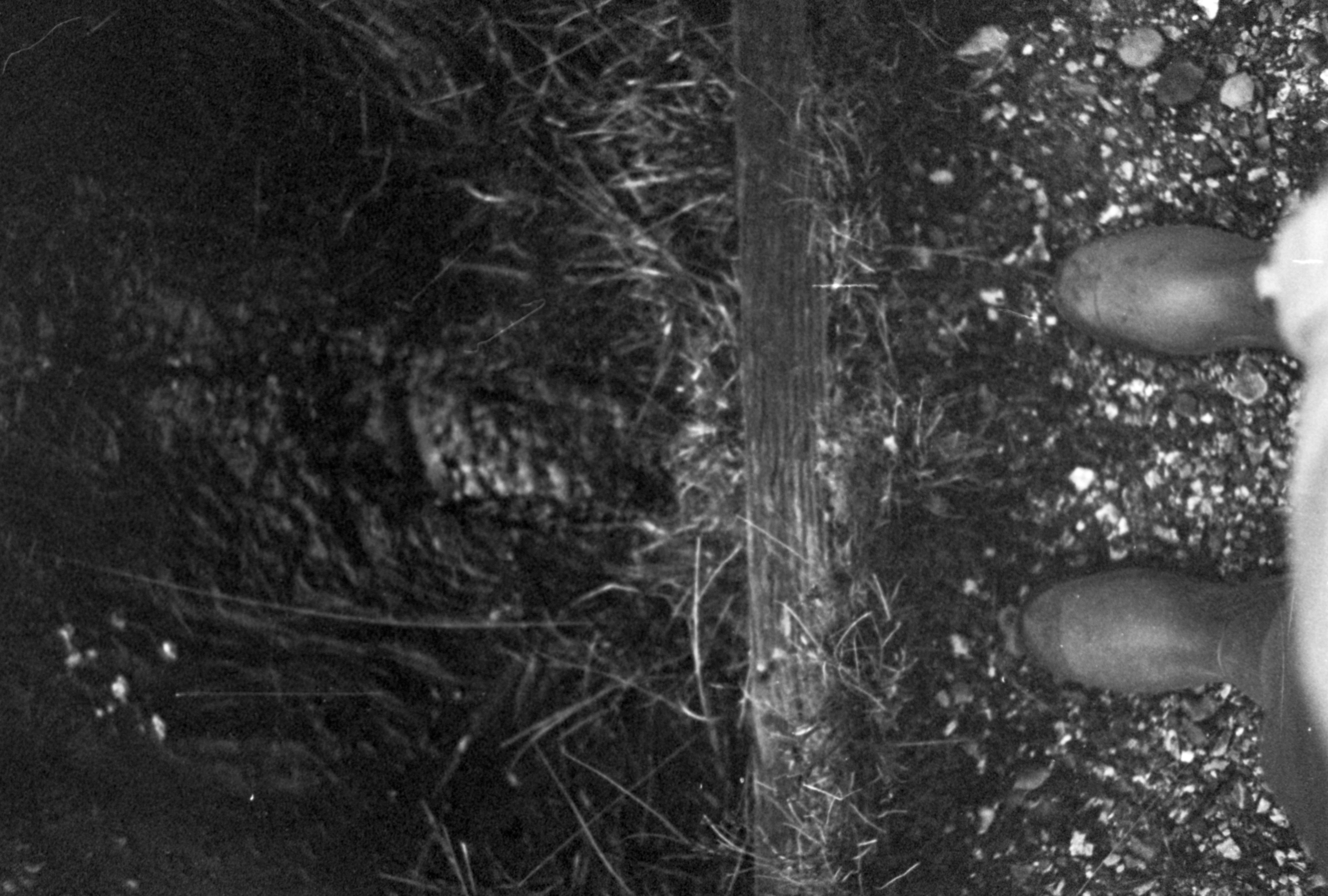 Photo by anniespratt