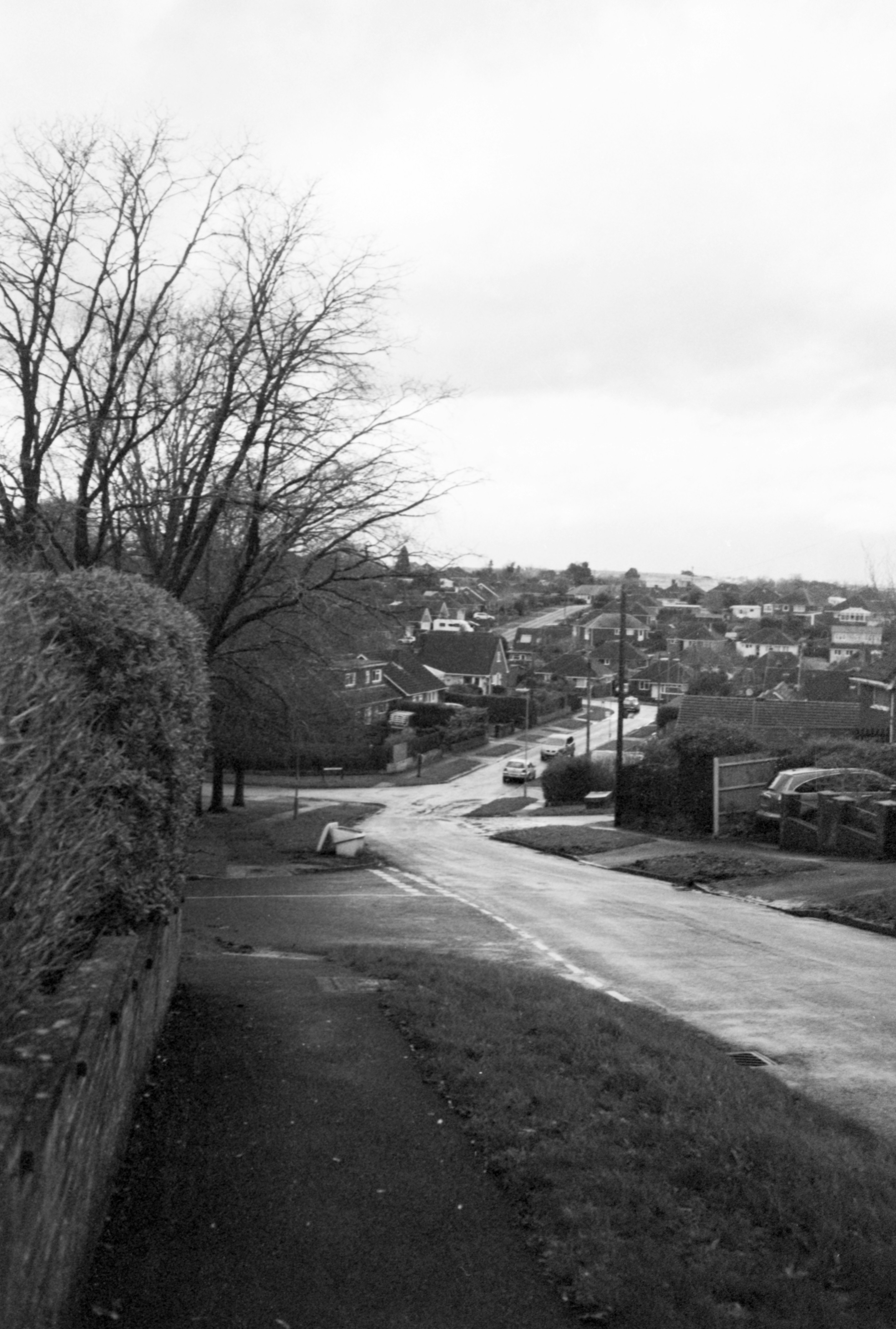 Photo by anniespratt