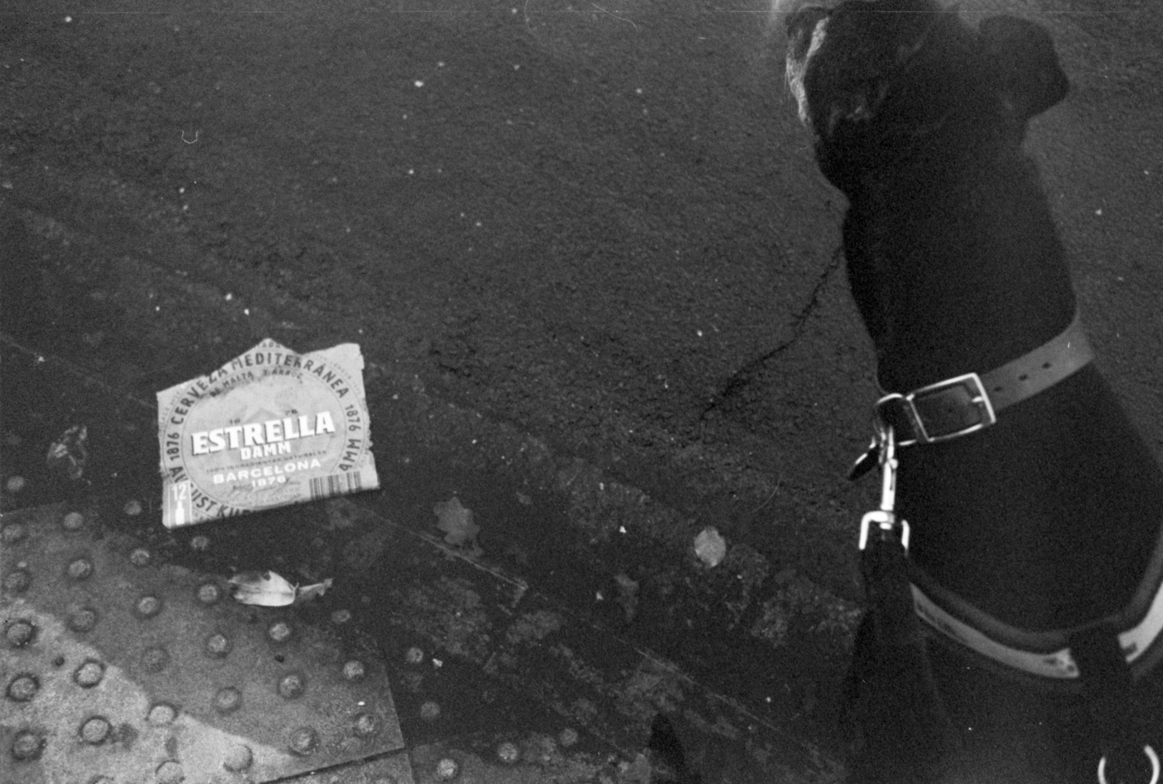 Photo by anniespratt