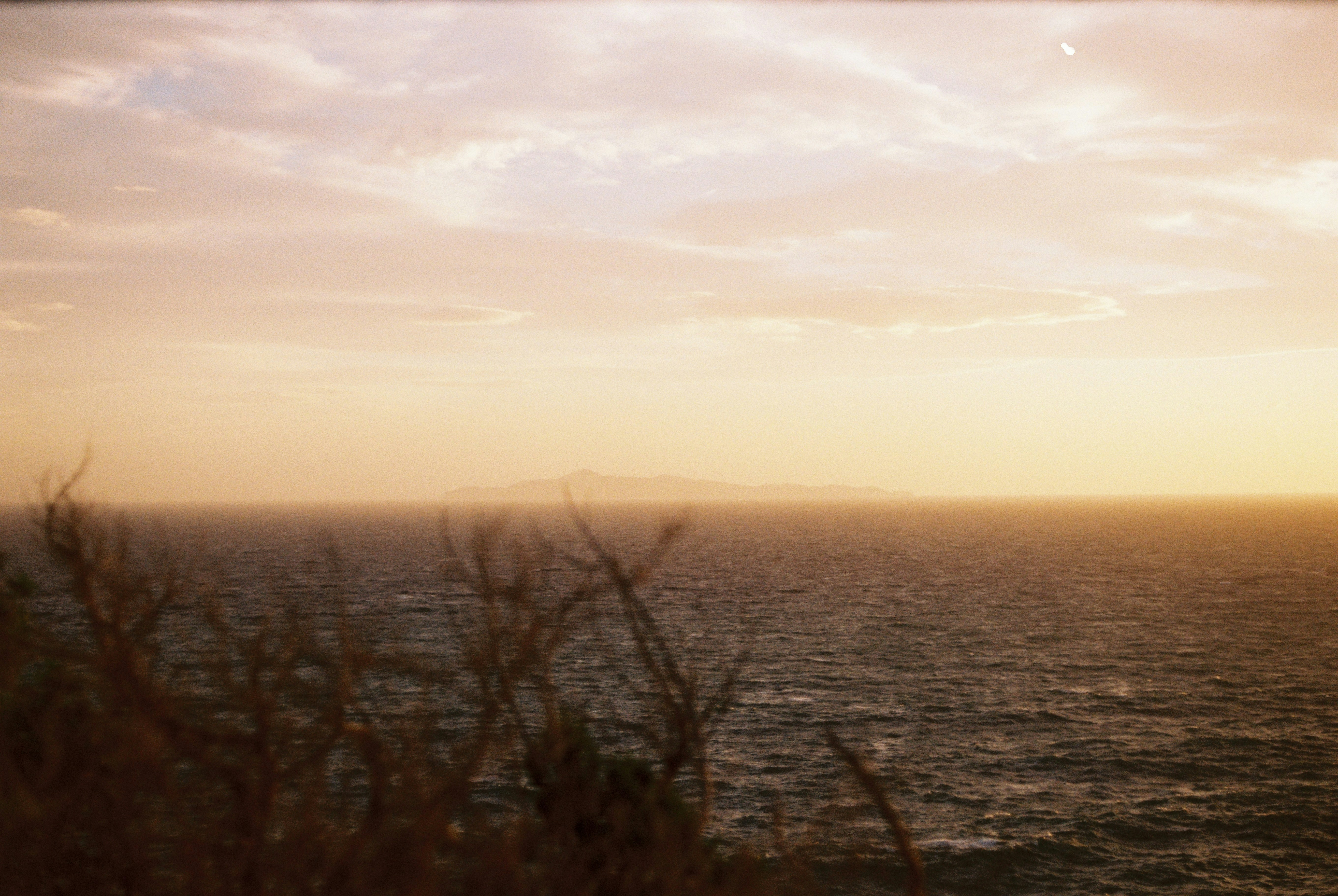 Photo by mightymoon