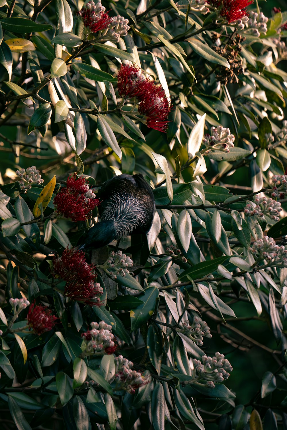 a bird sitting on a branch of a tree