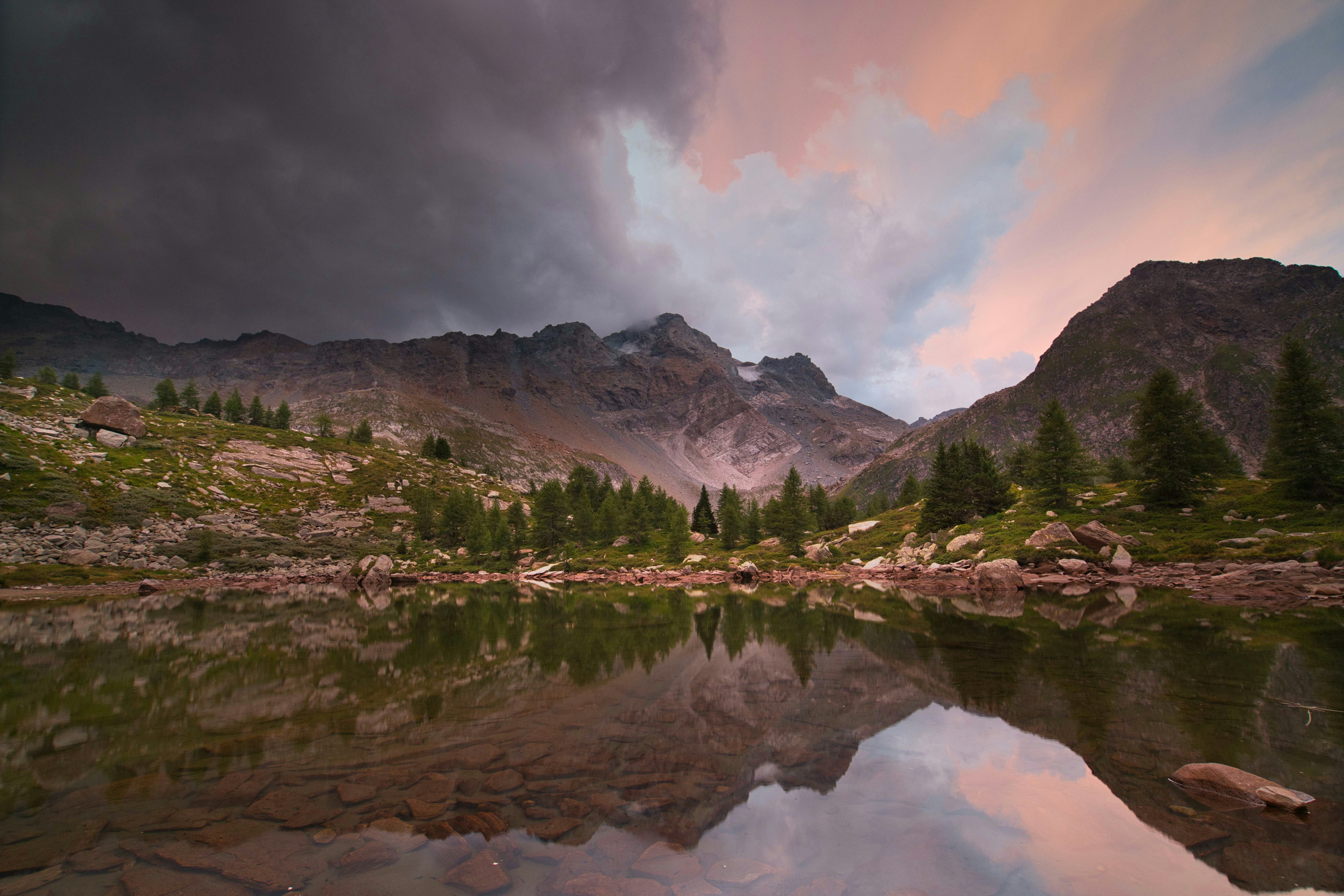 Photo by schneiderpics