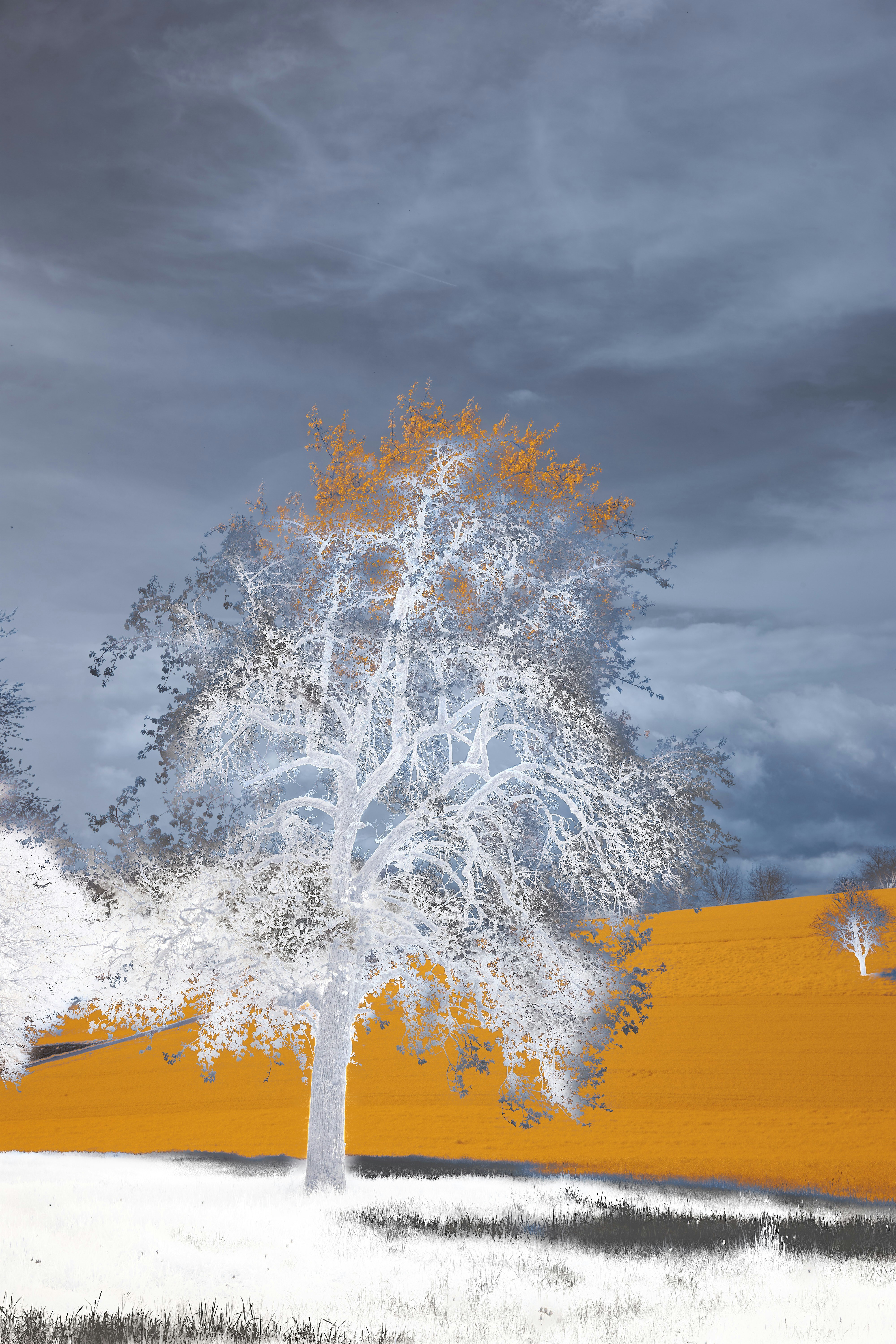 Photo by wolfgang_hasselmann