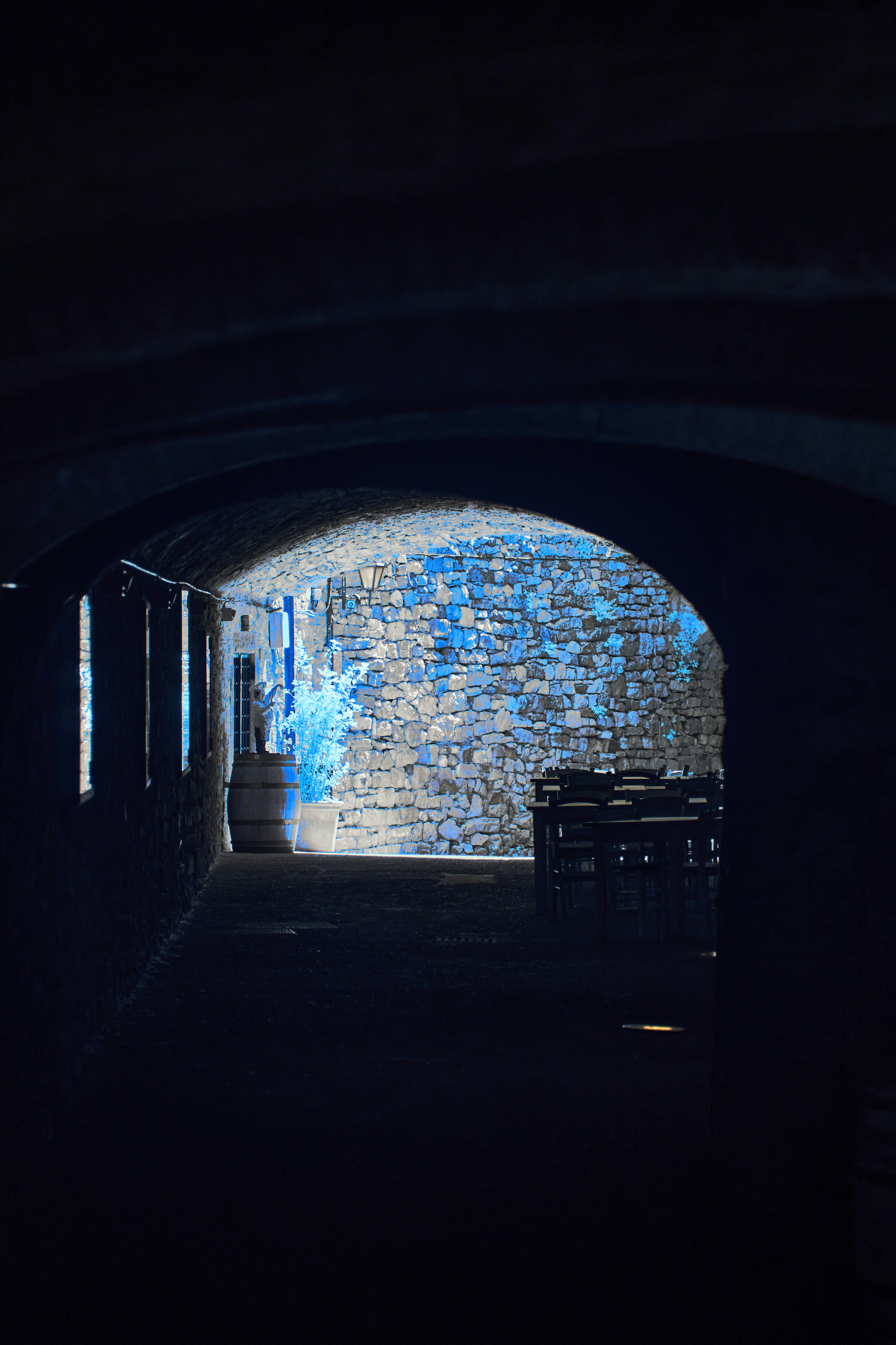 Photo by wolfgang_hasselmann