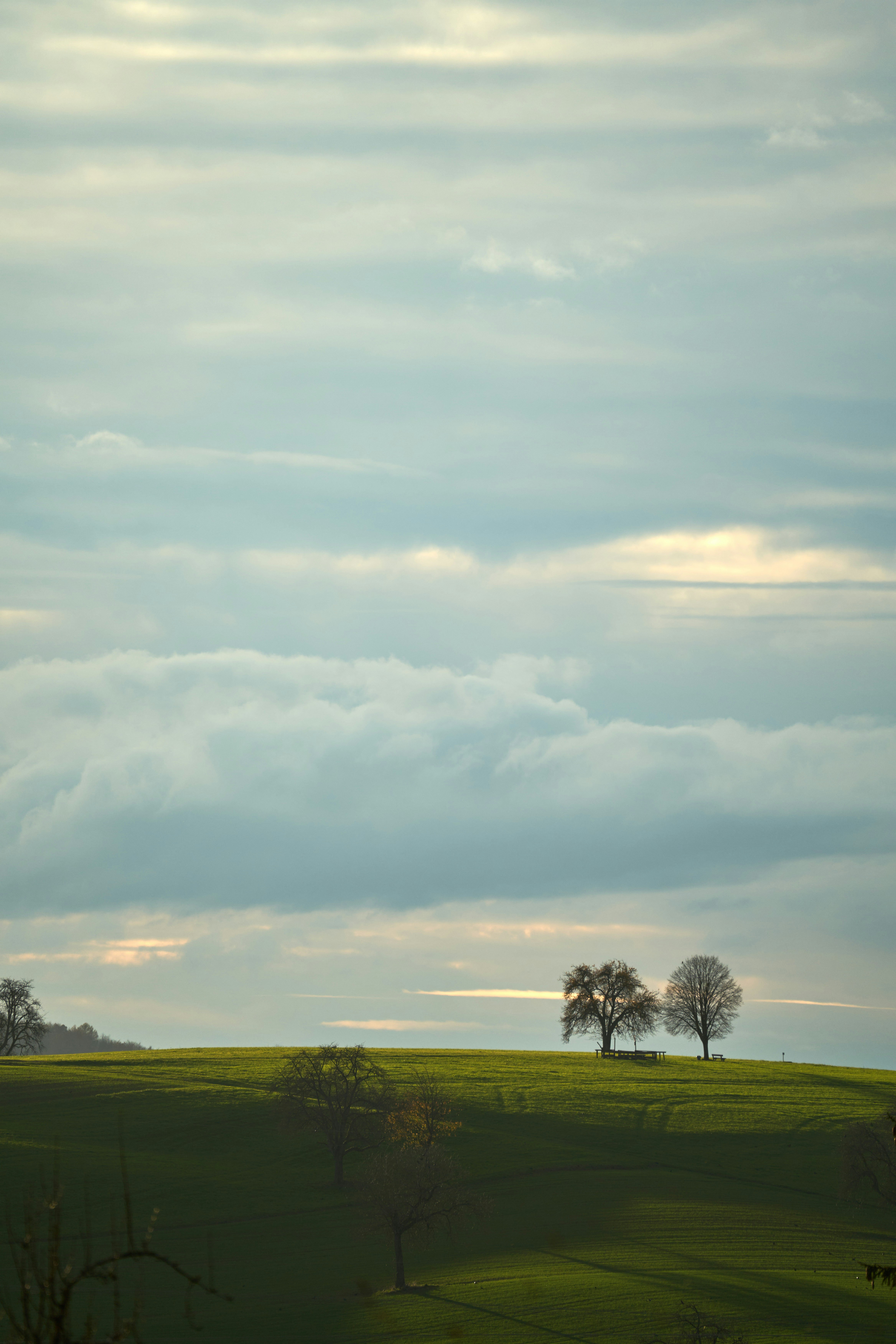 Photo by wolfgang_hasselmann