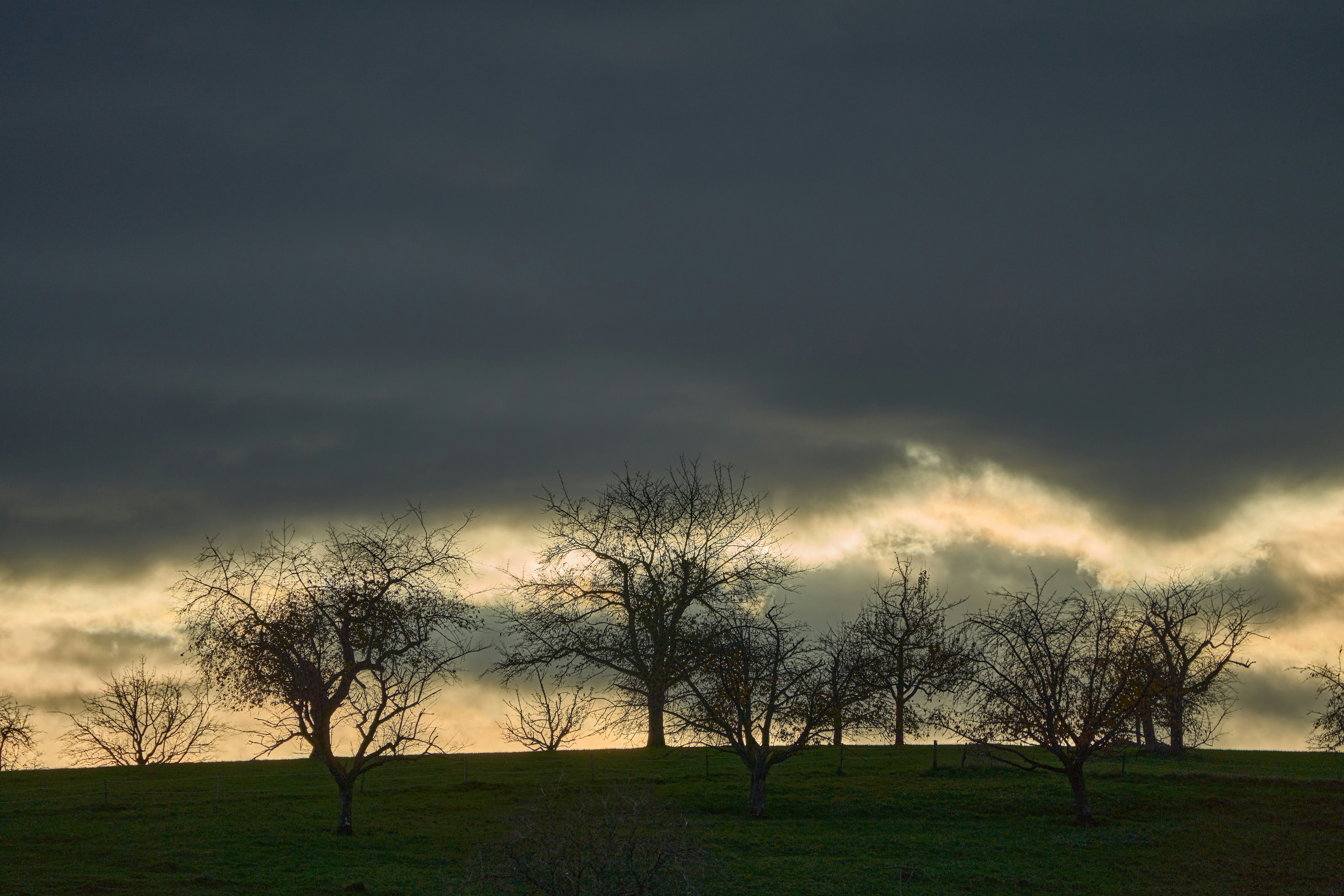 Photo by wolfgang_hasselmann