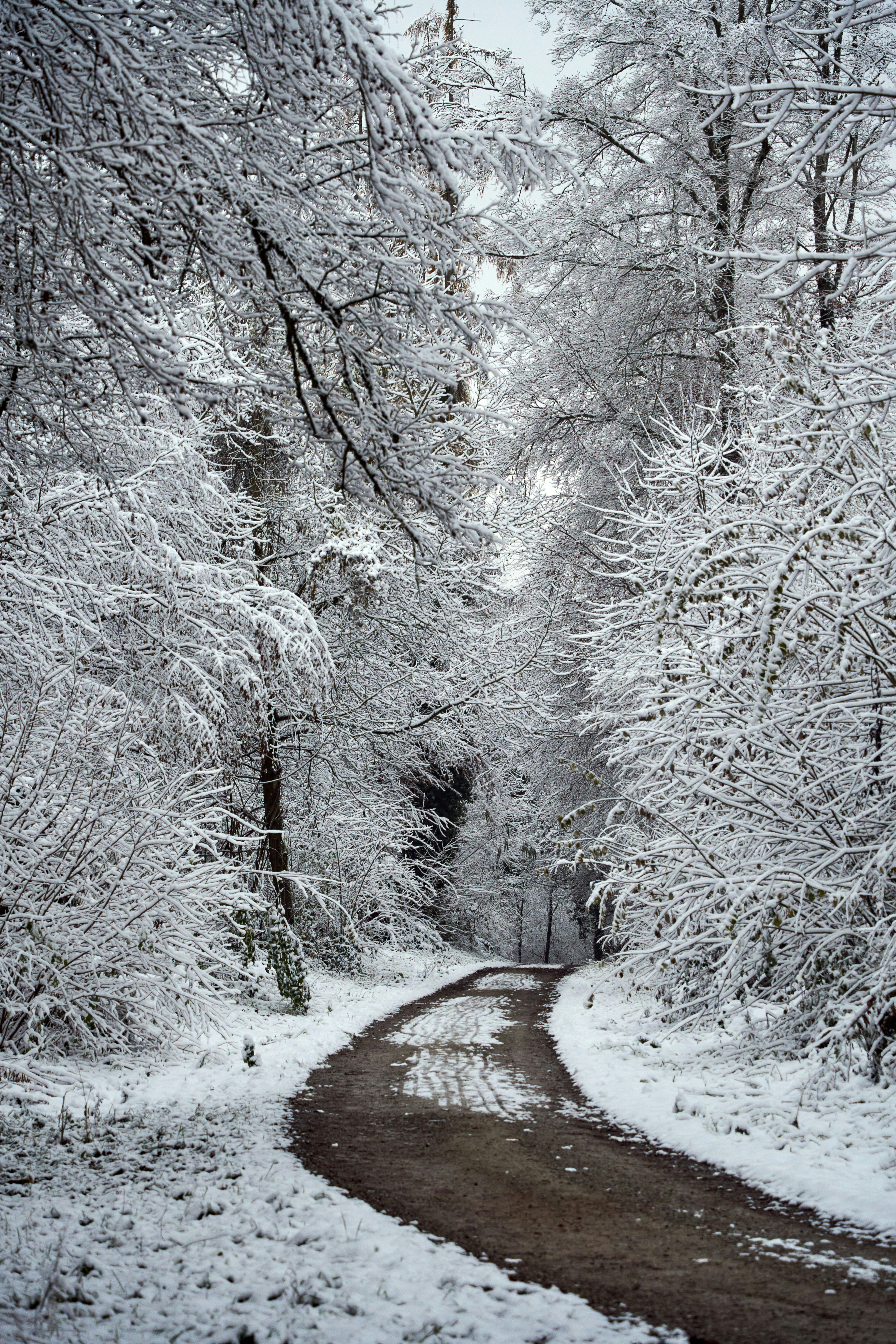 Photo by wolfgang_hasselmann