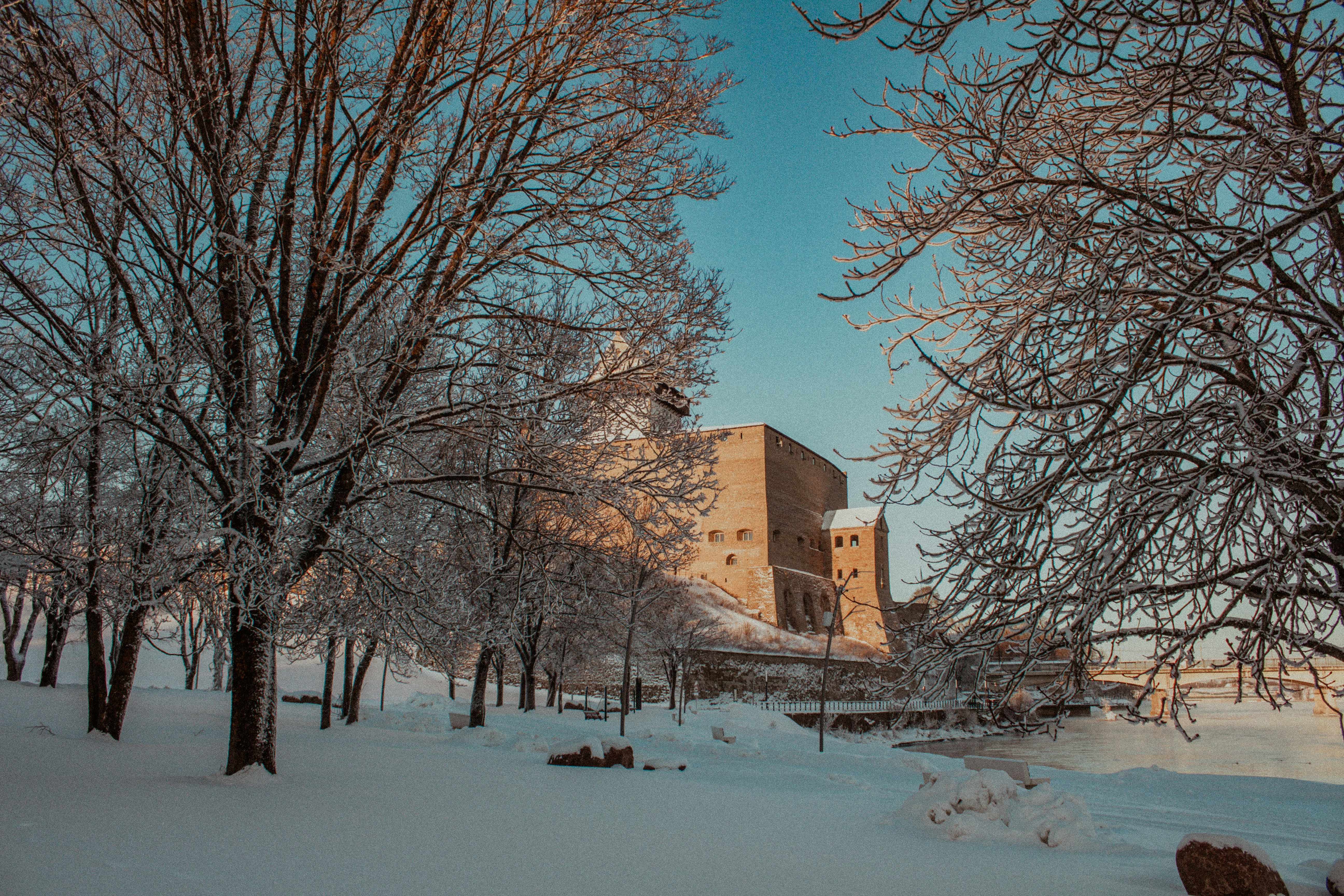 Photo by maximyuryshev