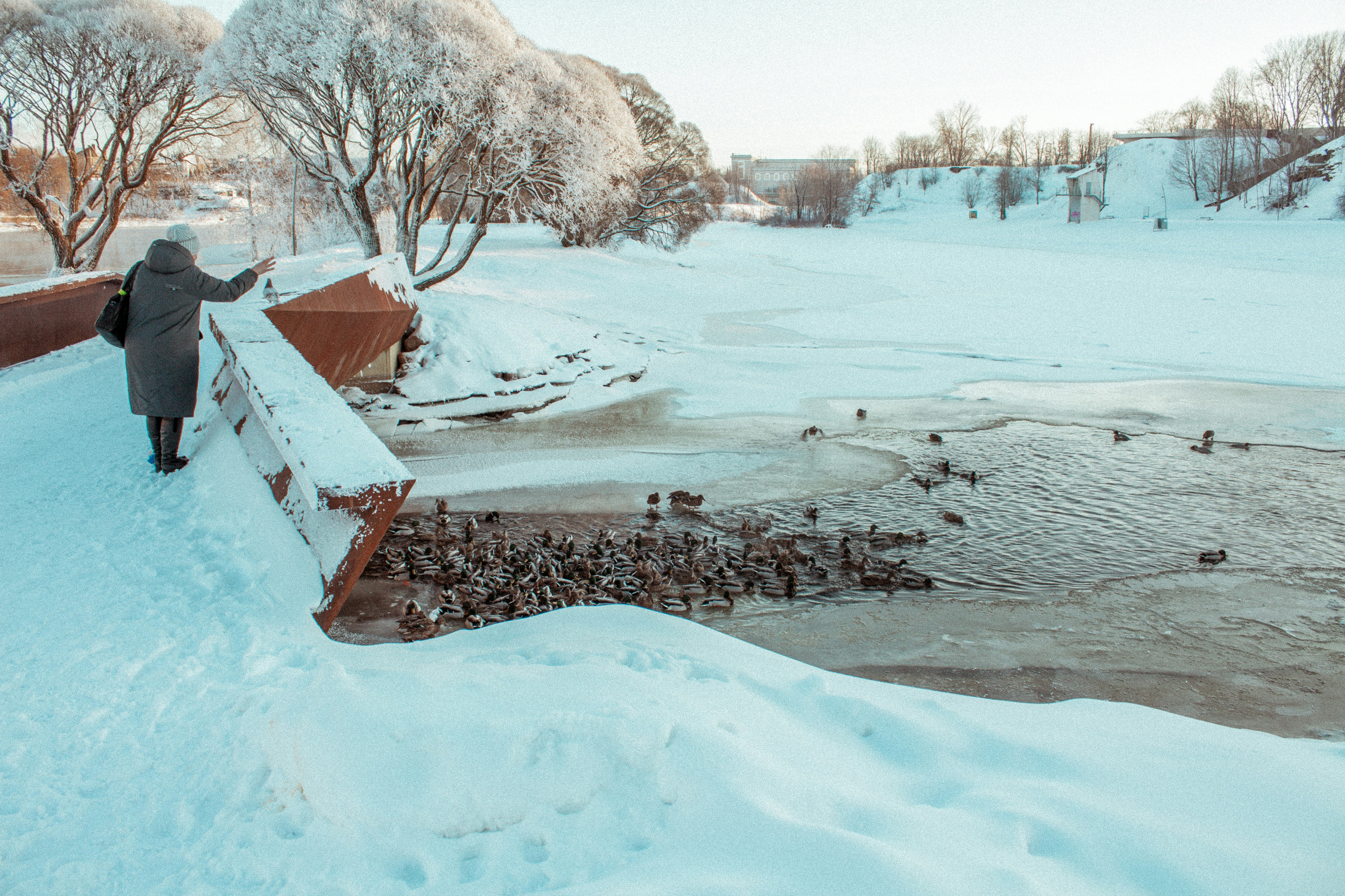 Photo by maximyuryshev