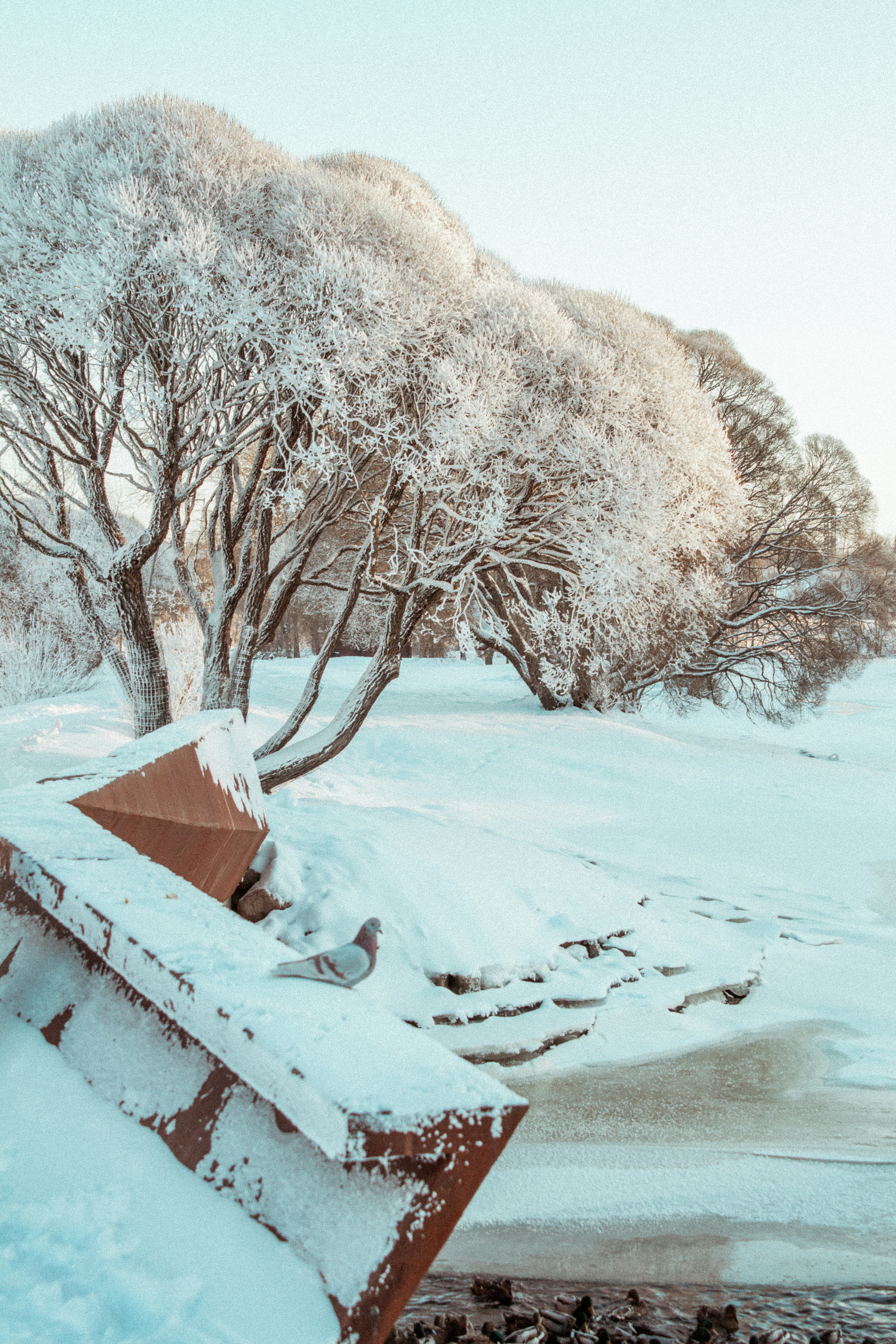 Photo by maximyuryshev