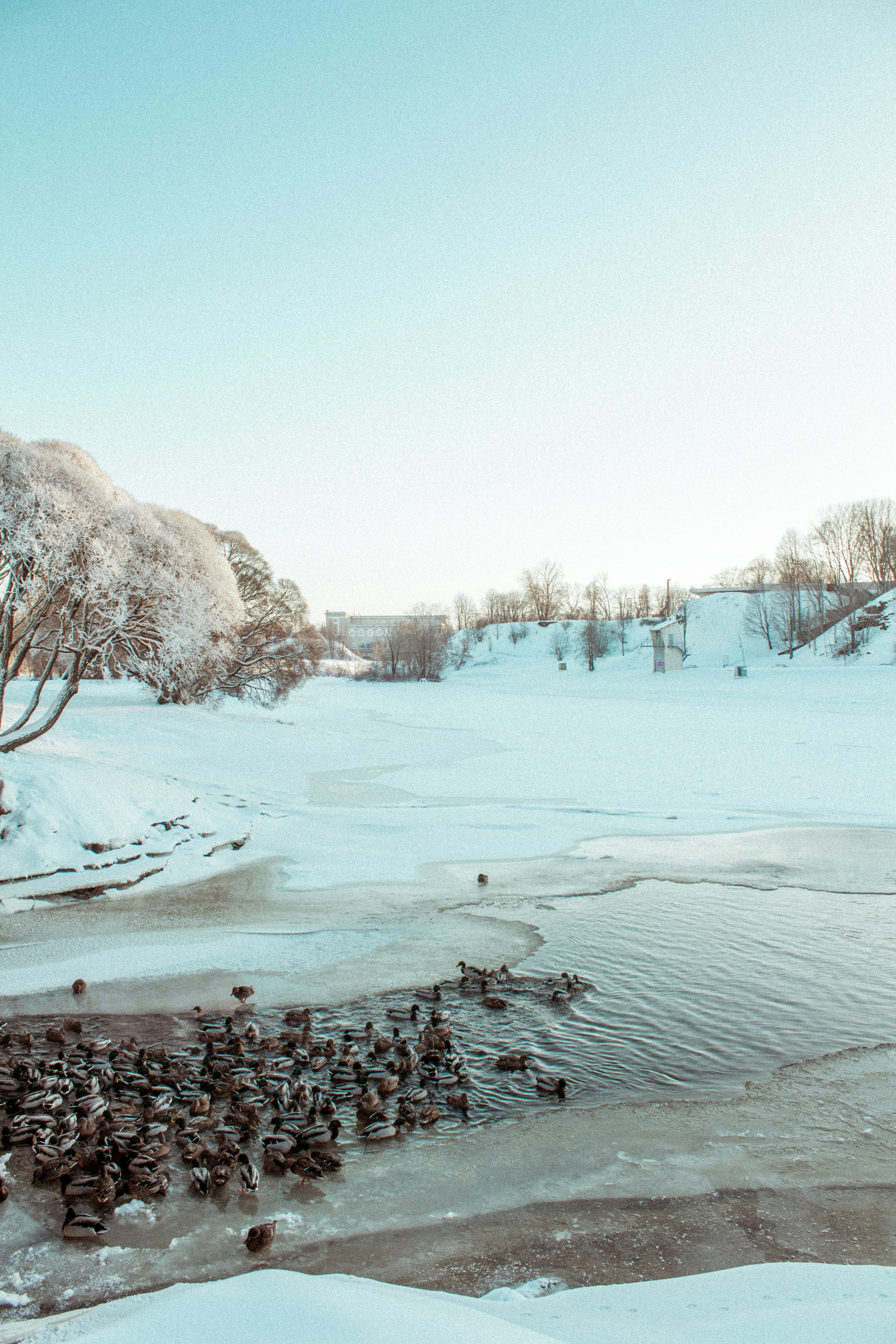 Photo by maximyuryshev