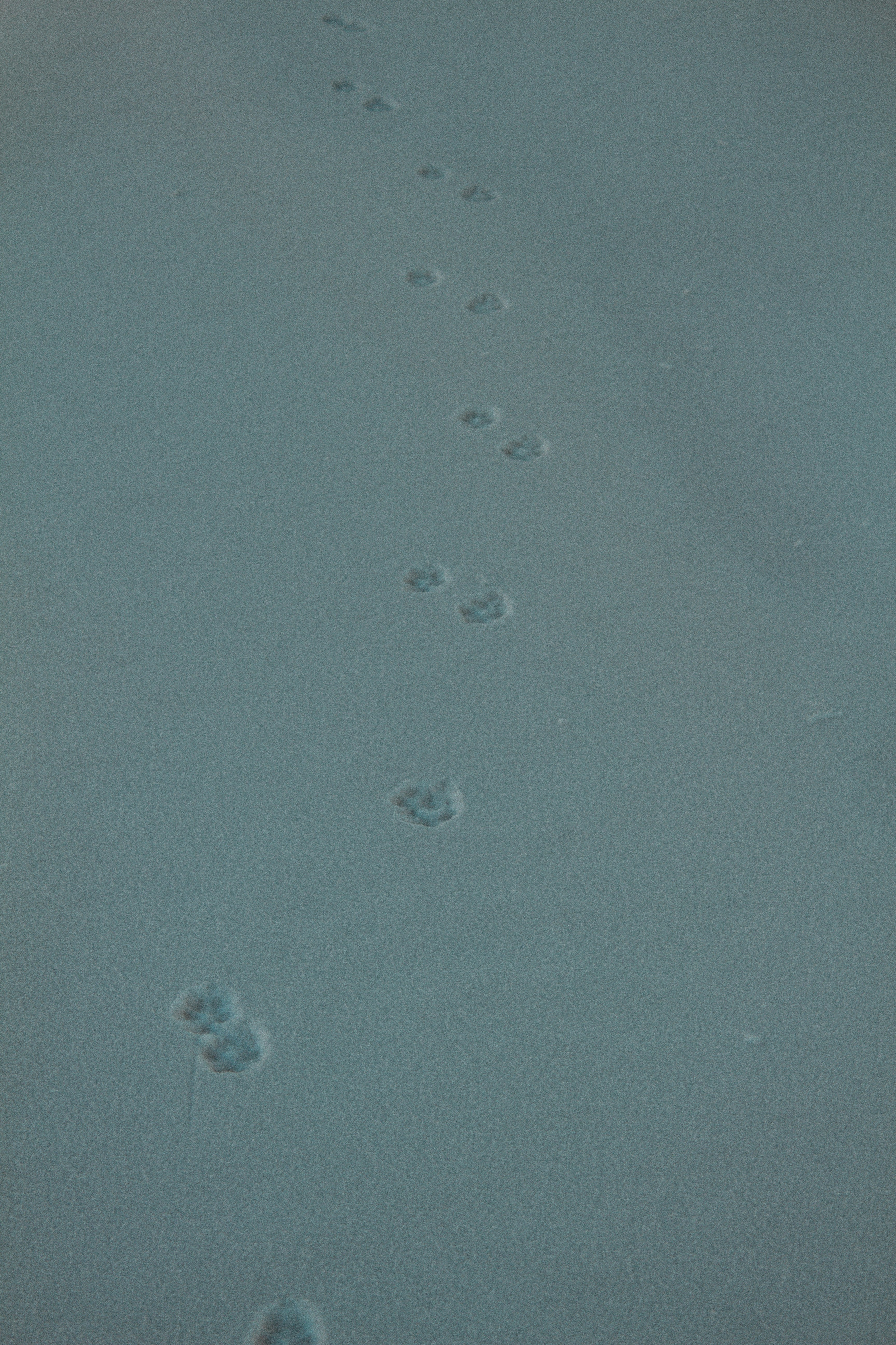 Photo by maximyuryshev