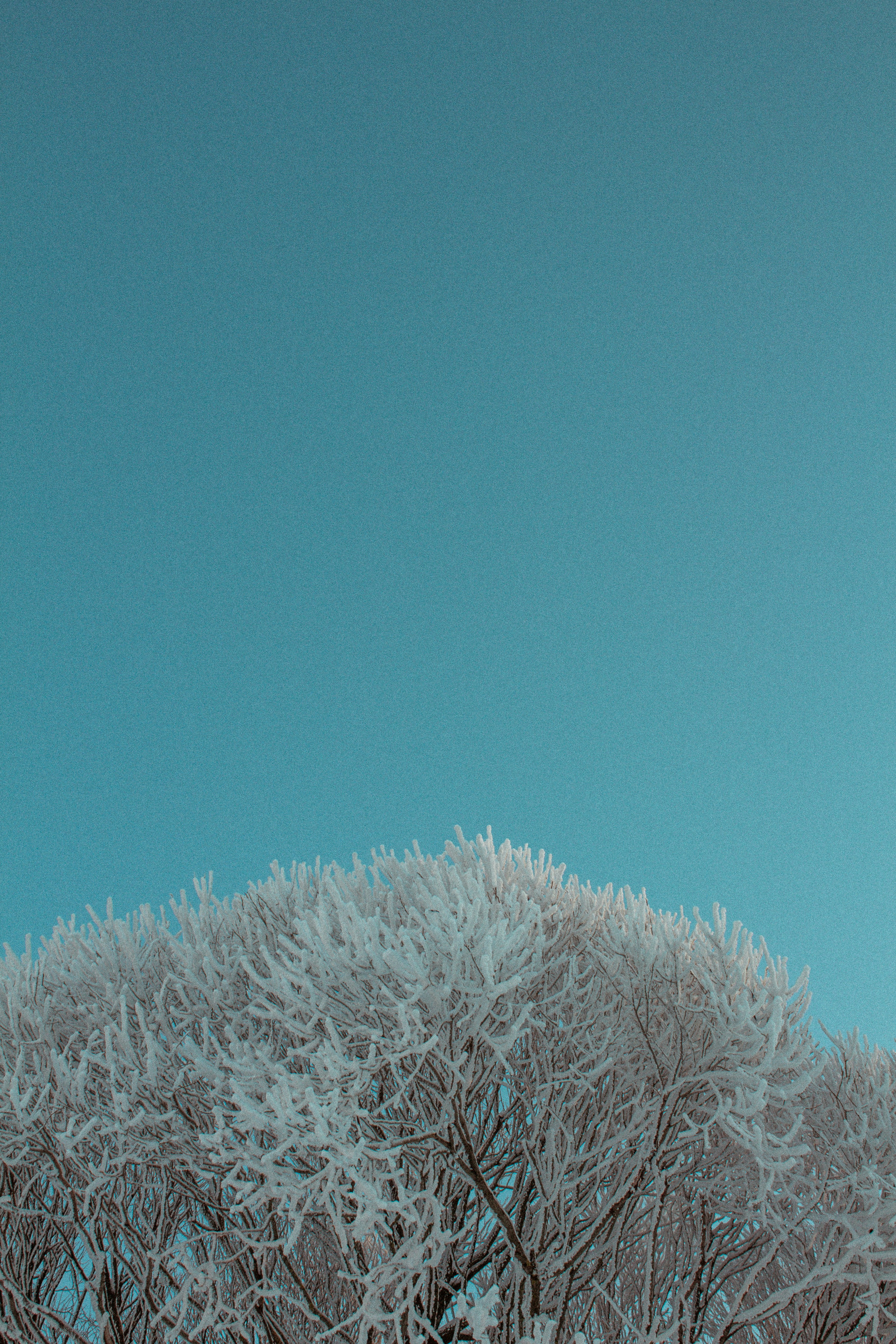 Photo by maximyuryshev