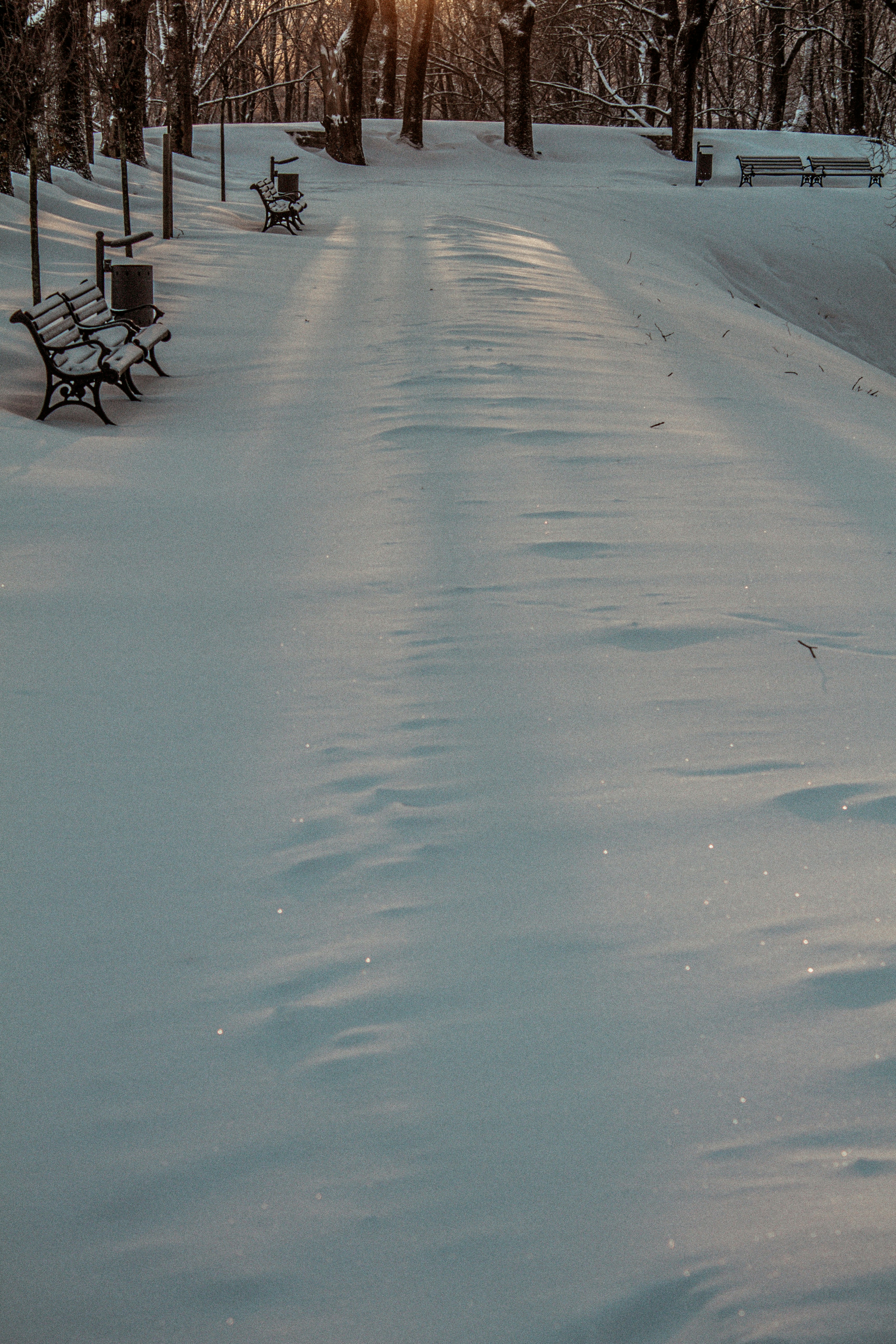 A snow covered park with benches and trees photo – Free Bird Image on ...