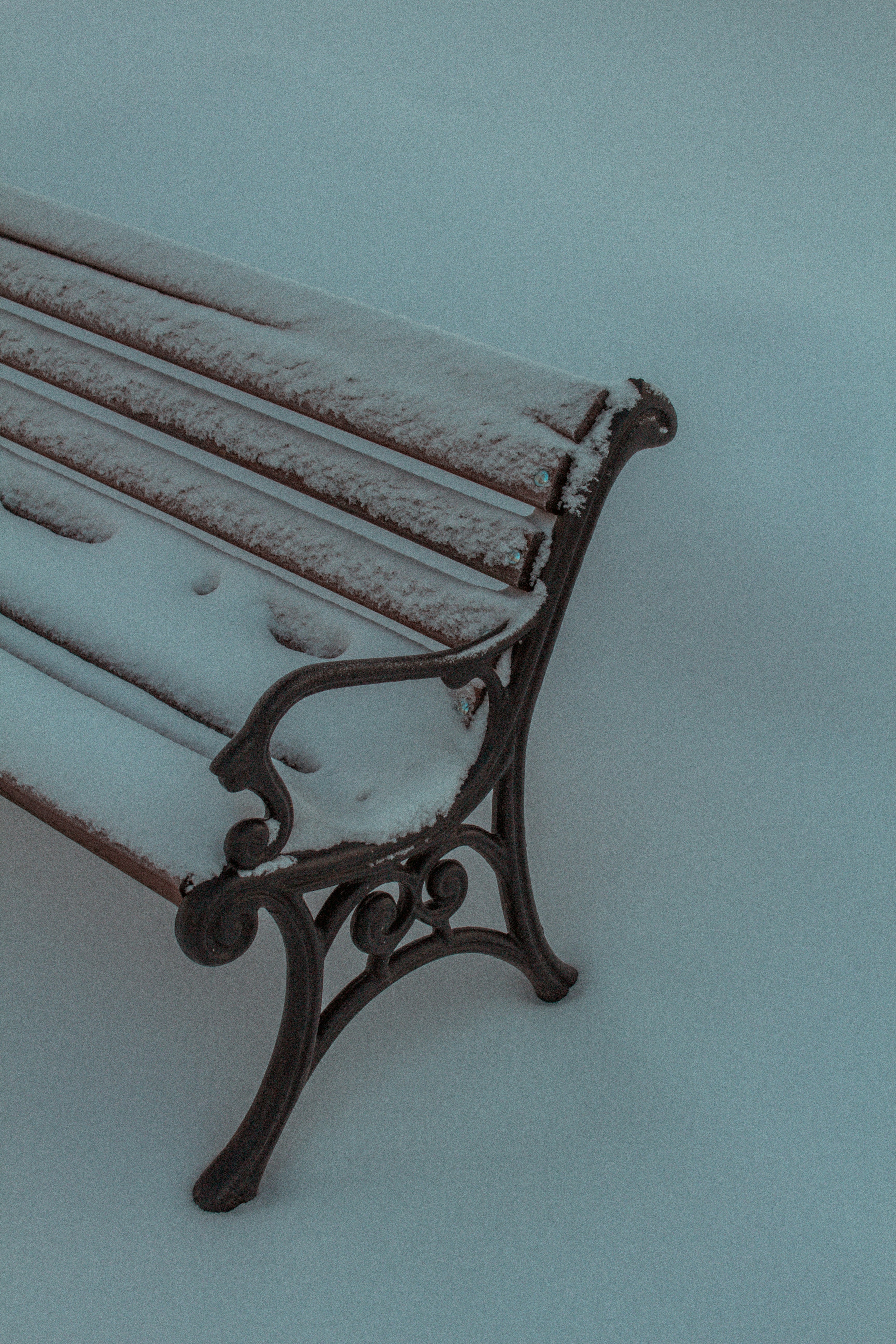 Photo by maximyuryshev