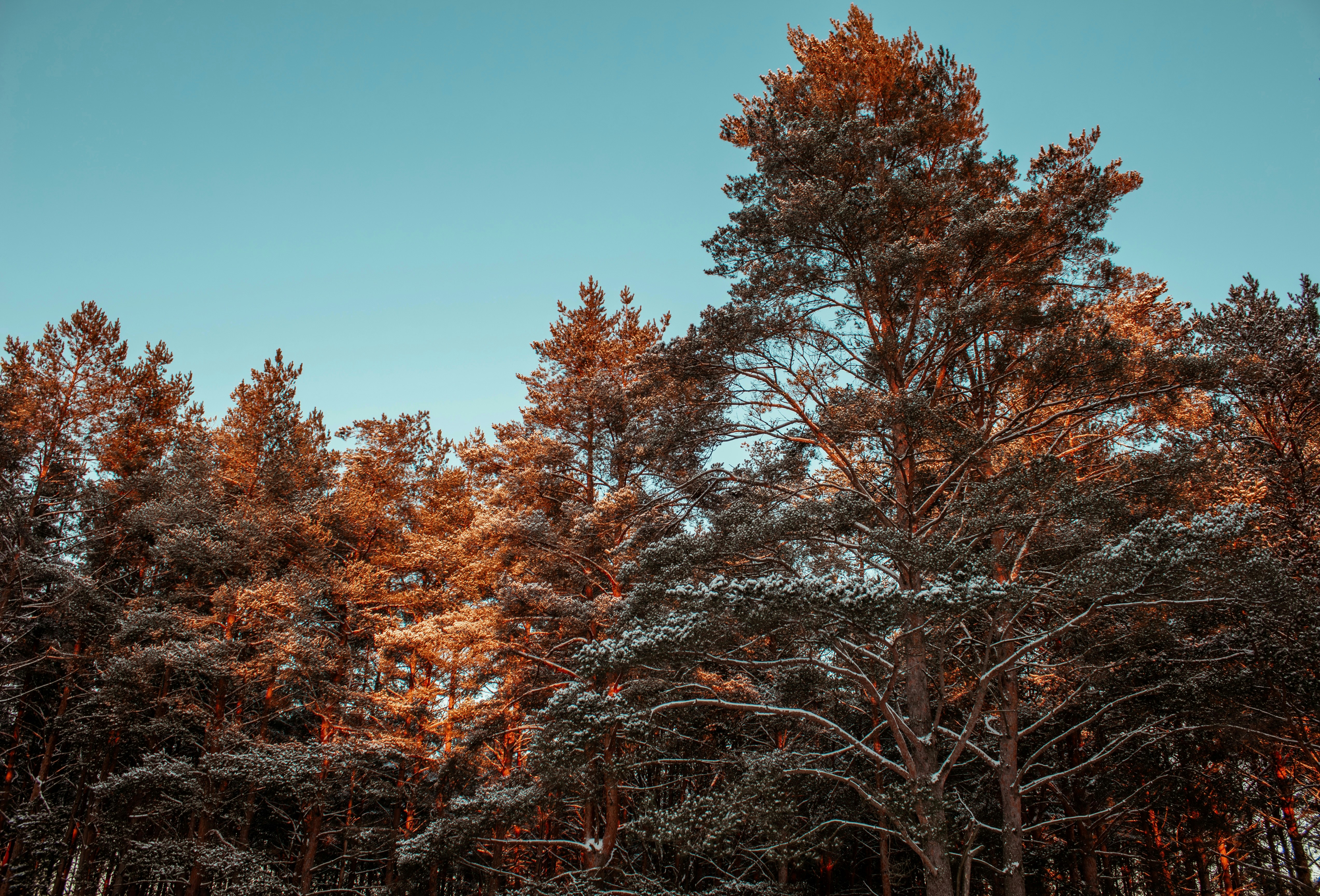 Photo by maximyuryshev