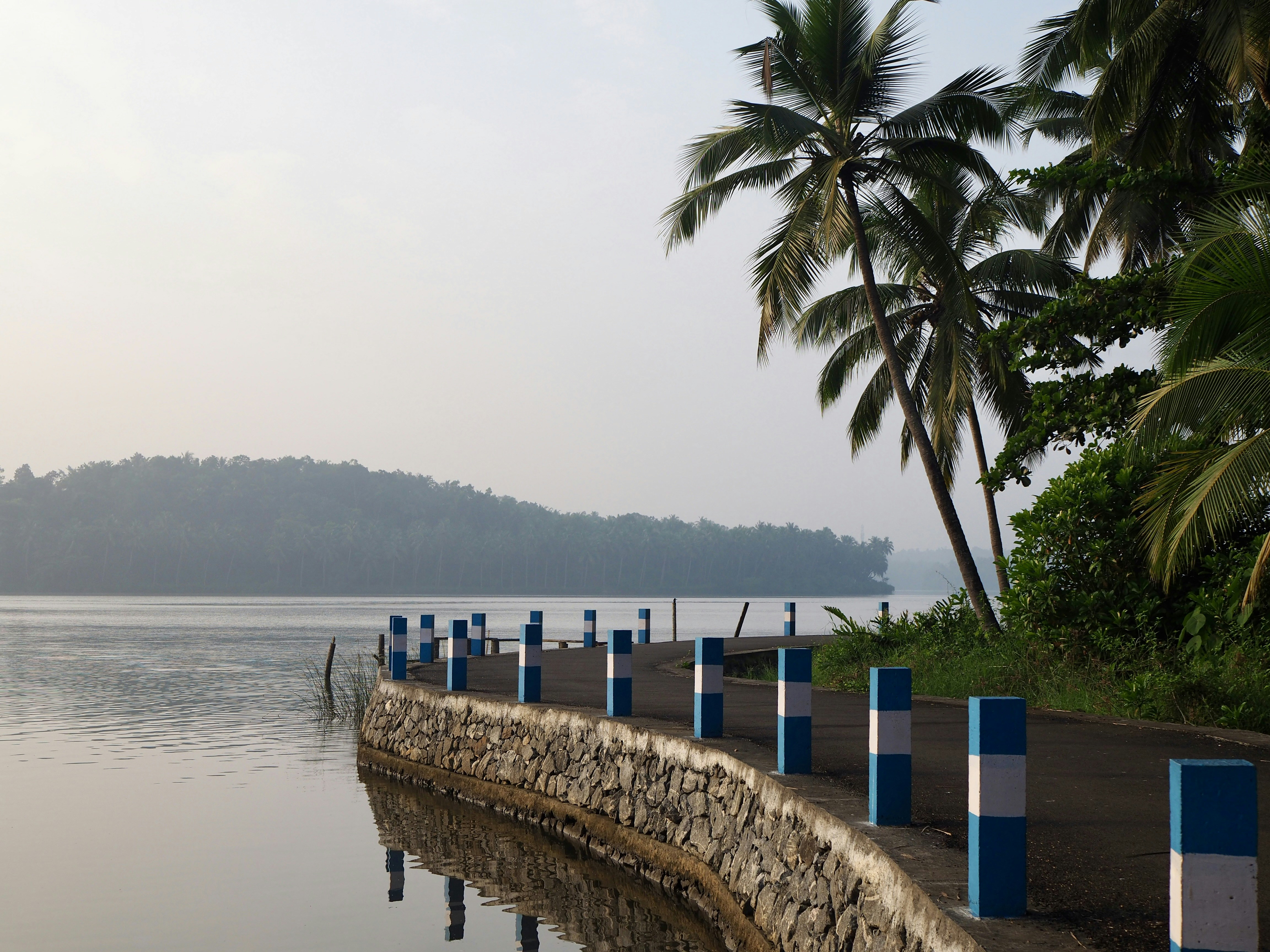 a large body of water surrounded by palm trees