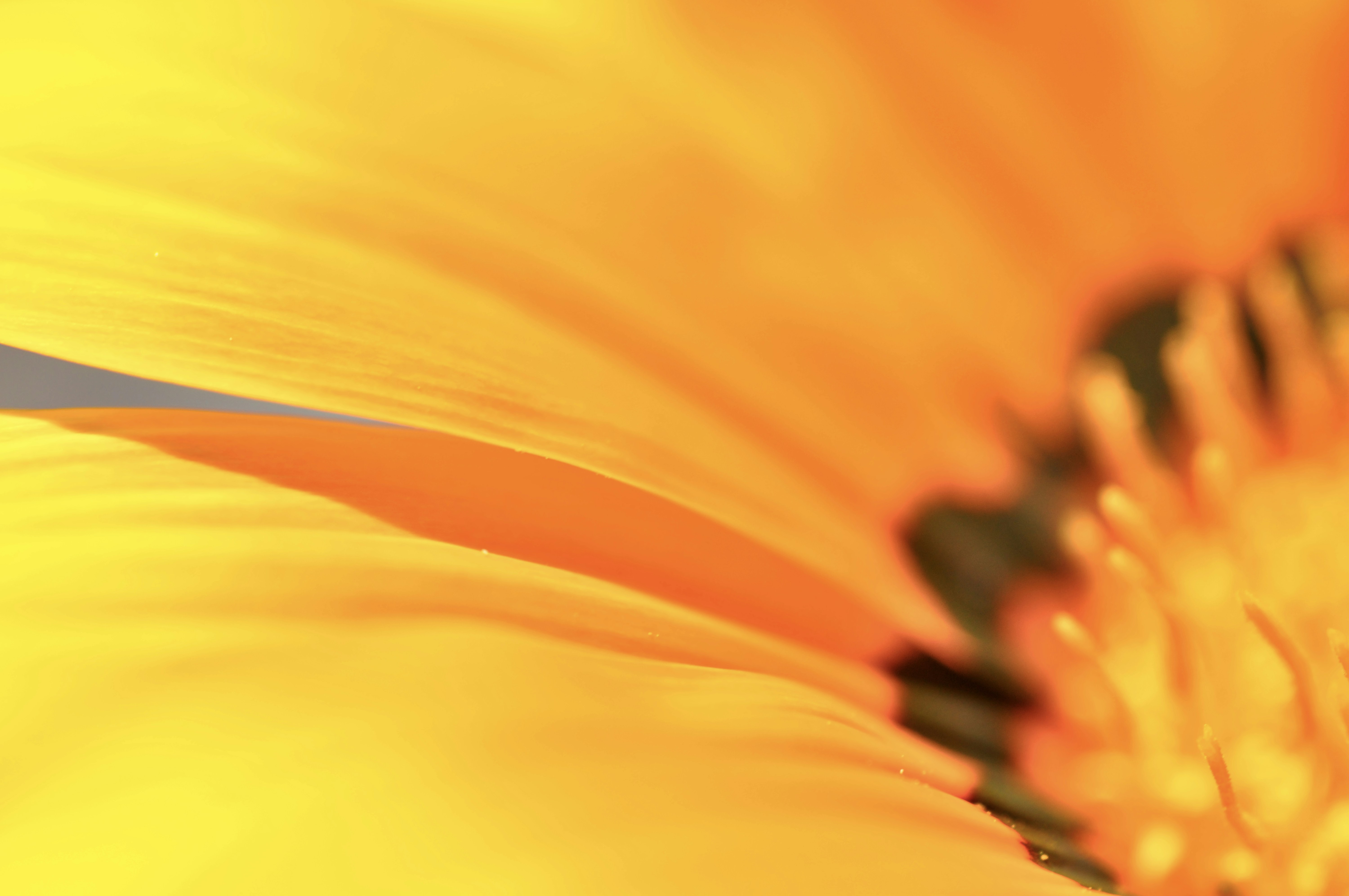 Photo by bodegasupply