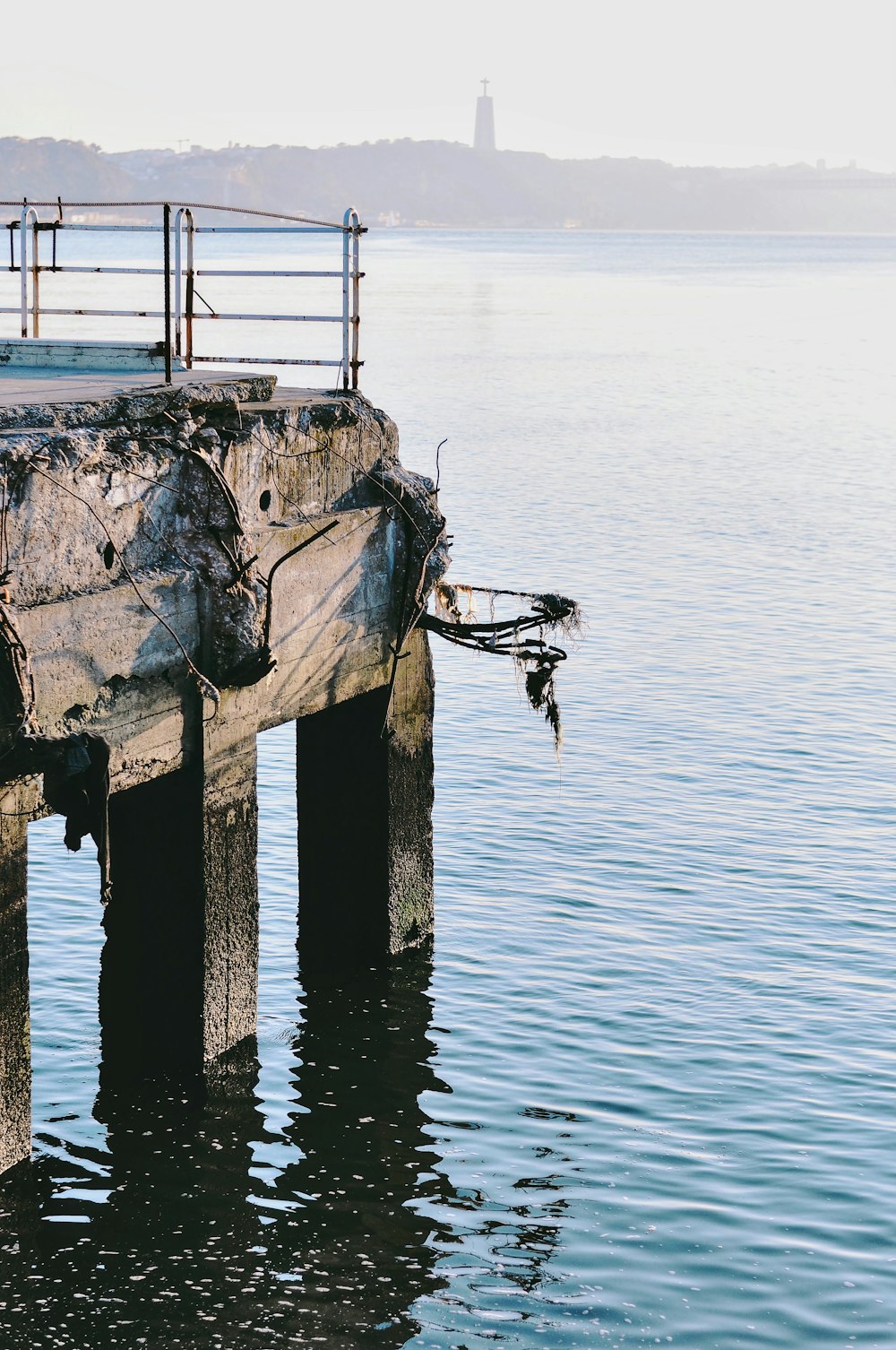 a pier with a bird flying over it