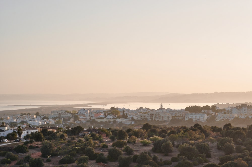 Una vista de una ciudad con un lago al fondo