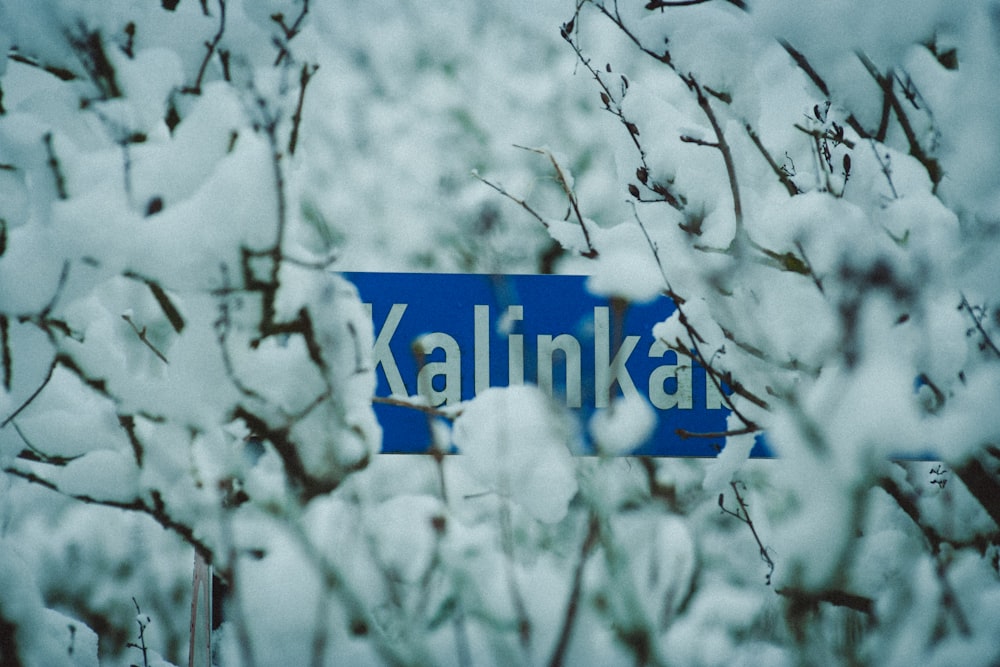 a blue street sign sitting in the middle of a snow covered field