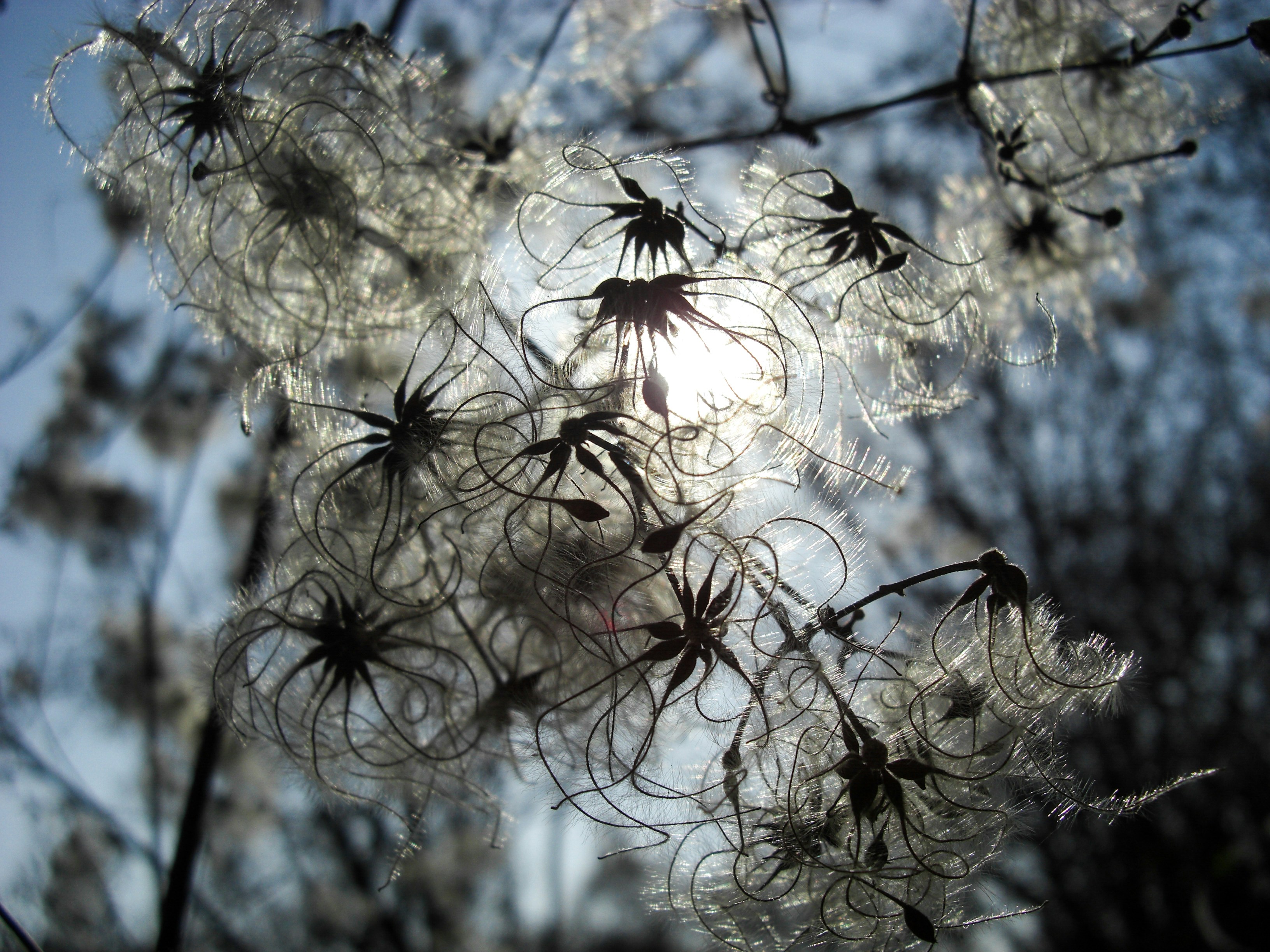 Photo by rmerkl