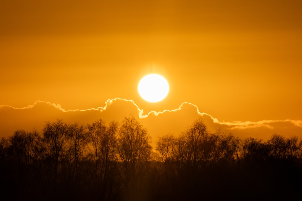 the sun is setting over the trees in the distance