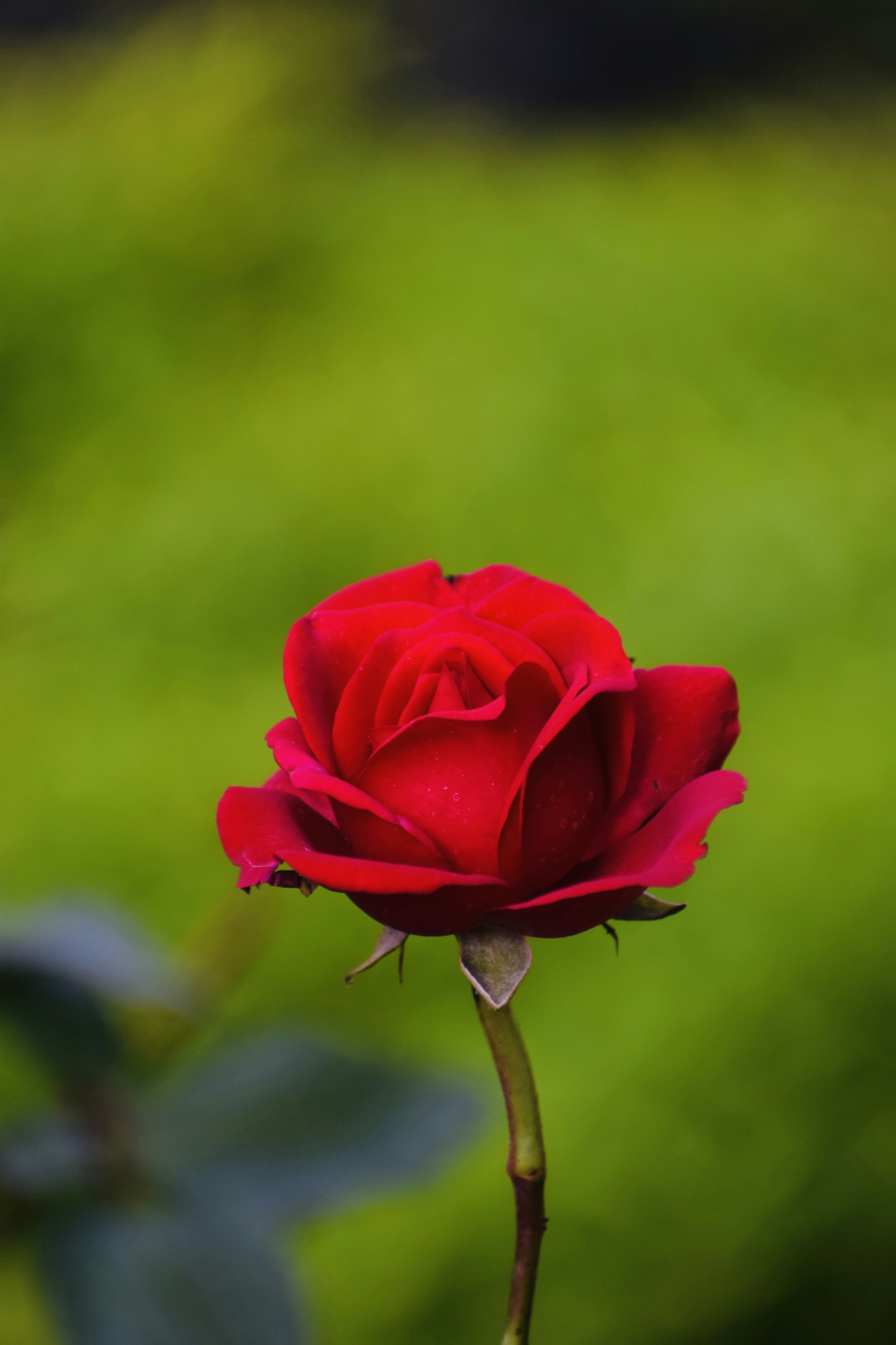 Photo by theushakiran