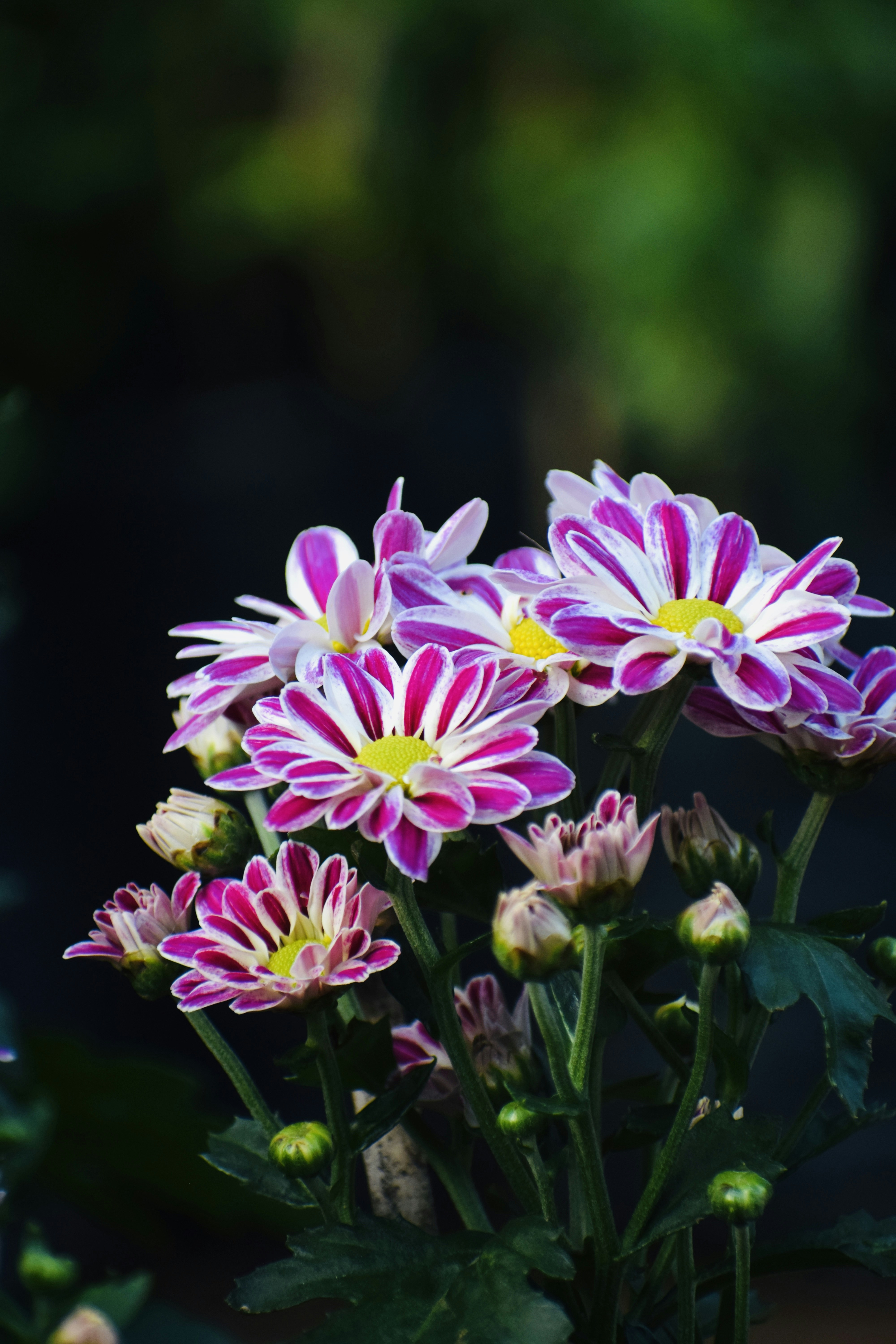 Photo by theushakiran