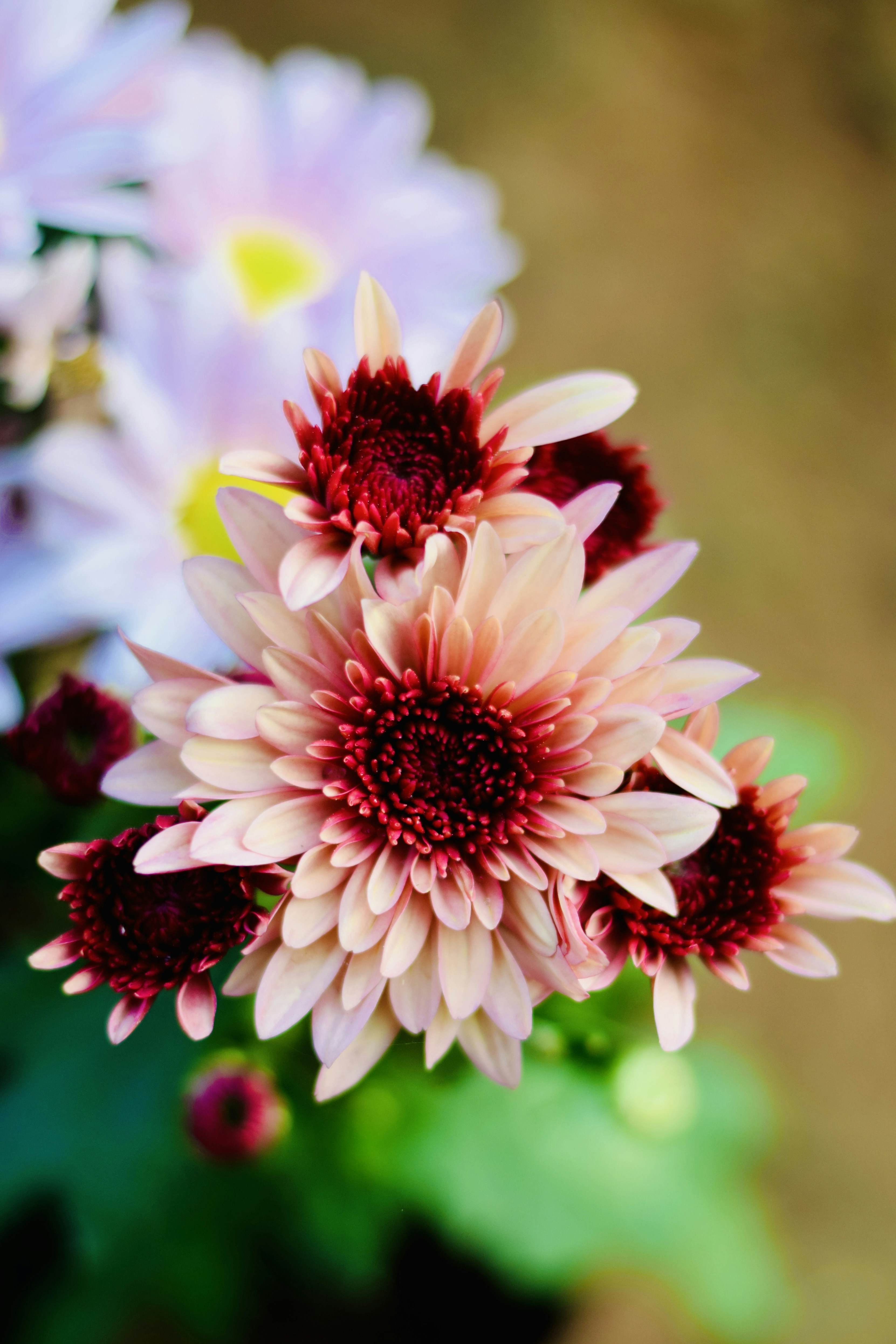 Photo by theushakiran