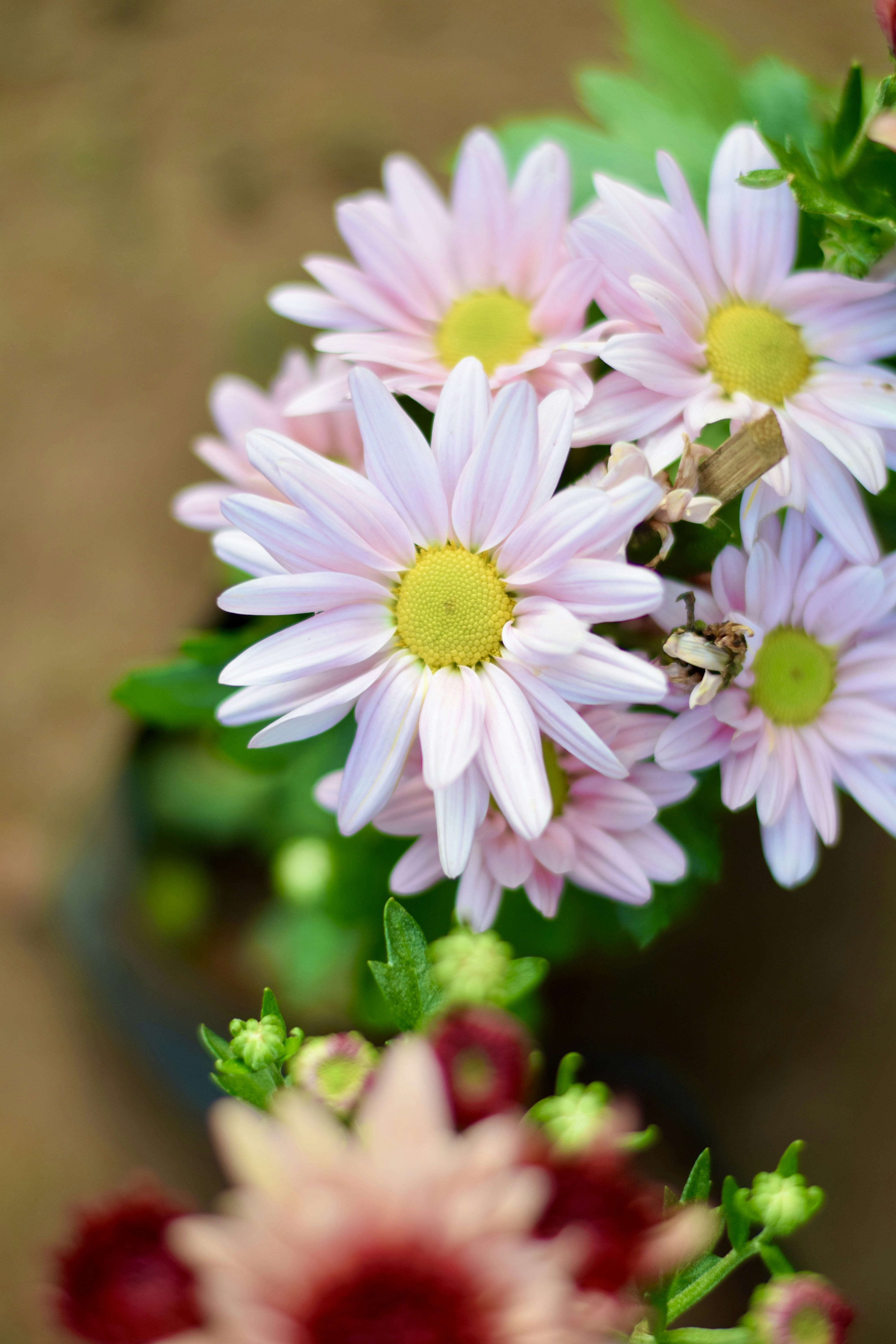 Photo by theushakiran