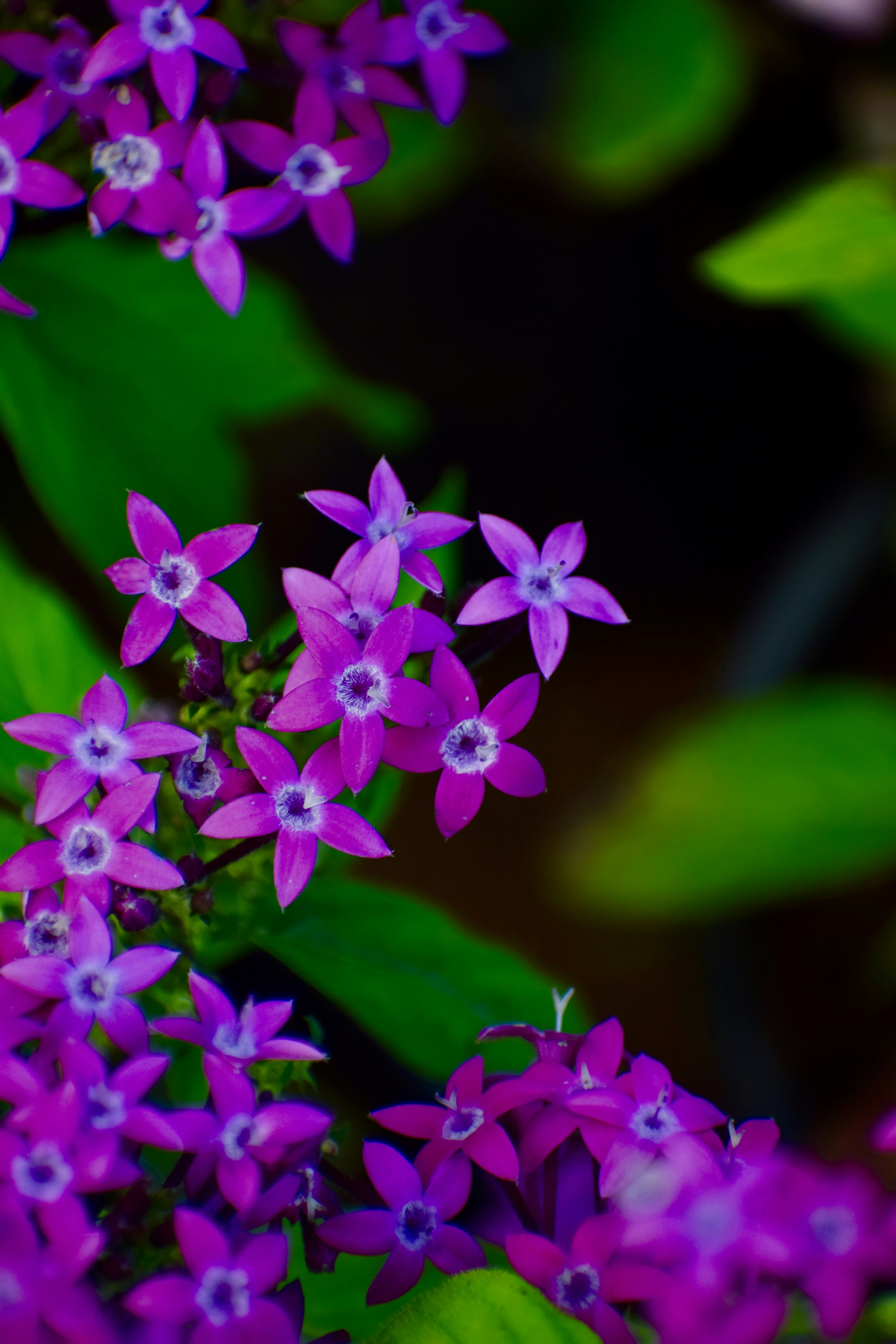 Photo by theushakiran