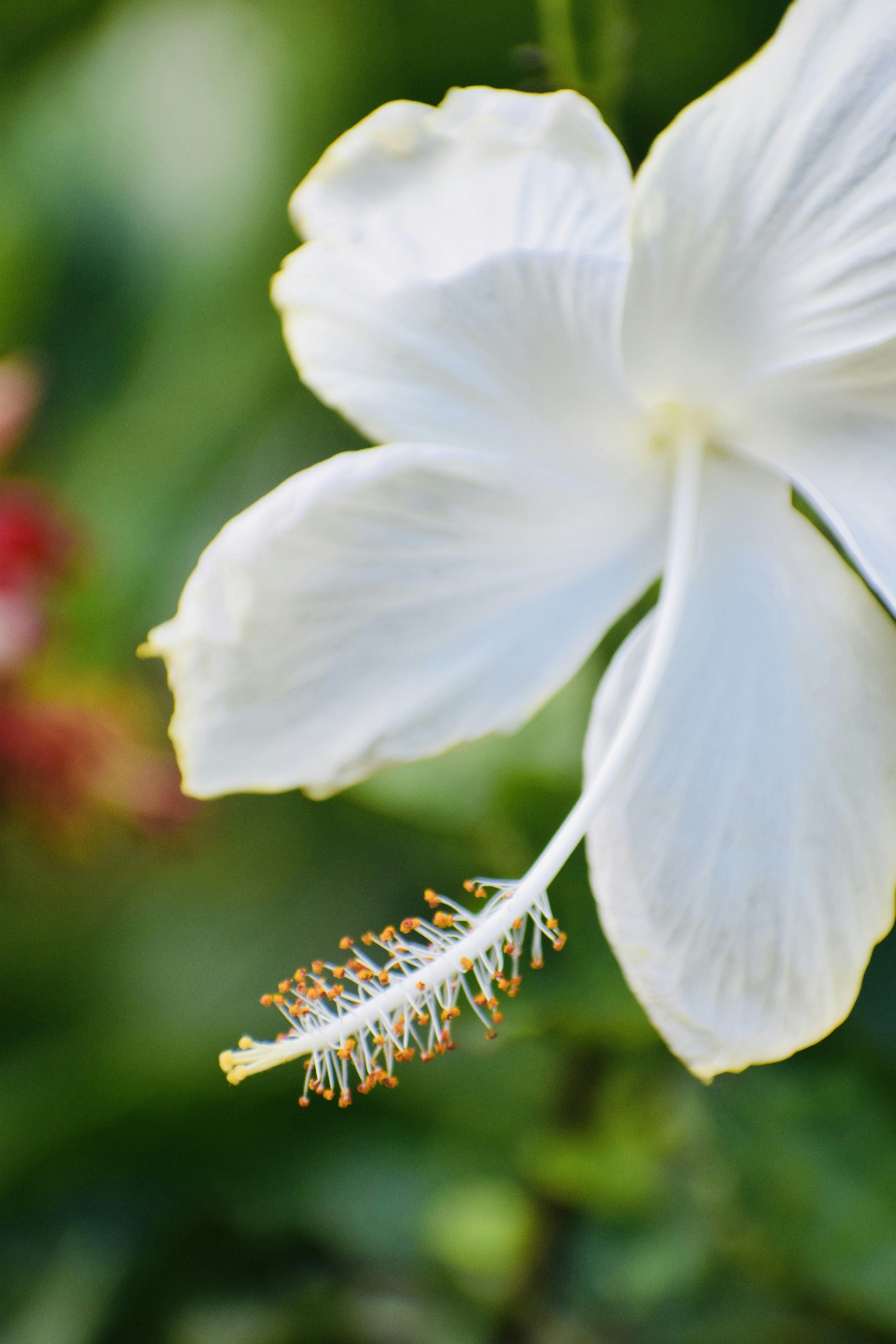 Photo by theushakiran