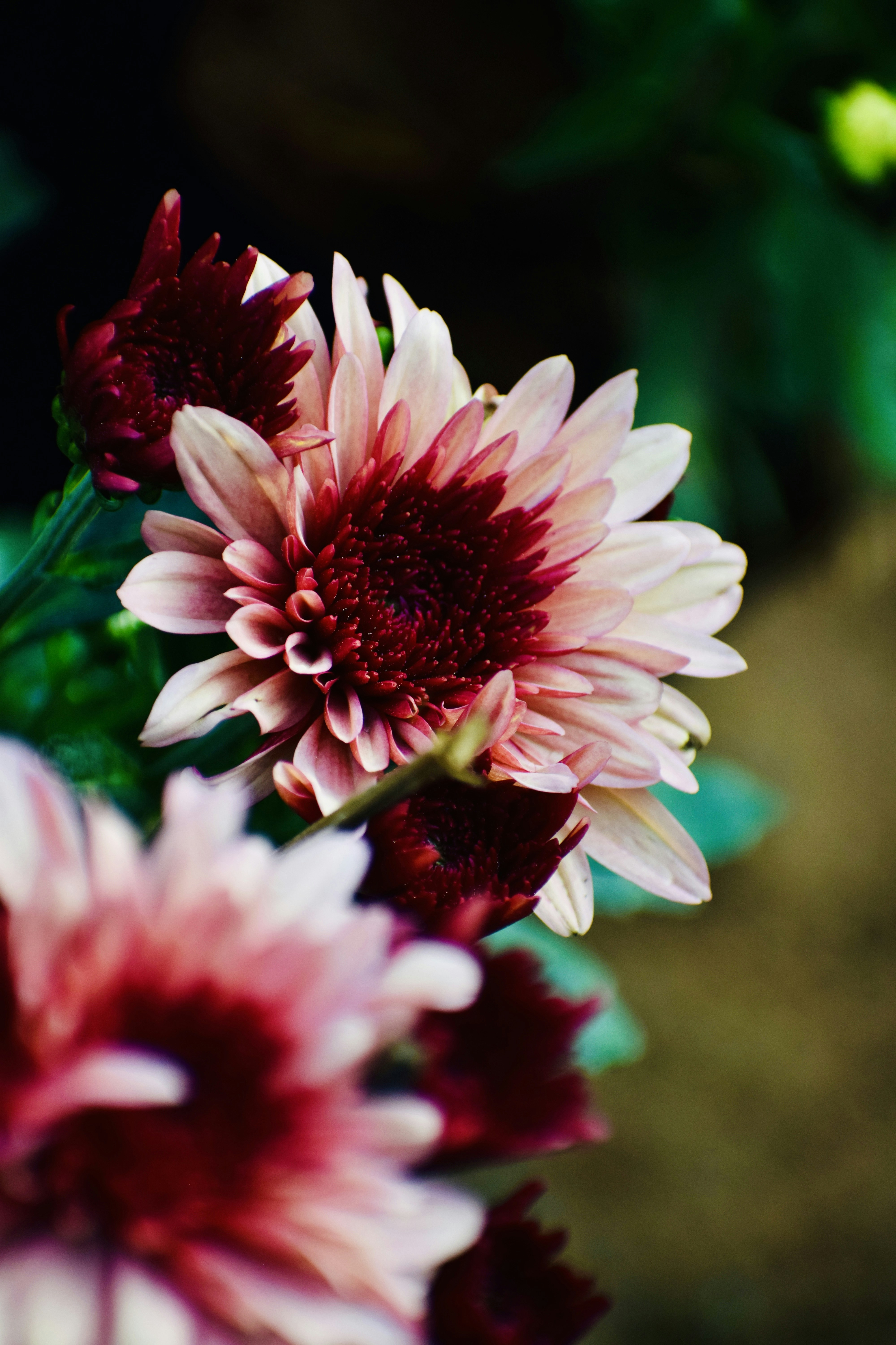 Photo by theushakiran