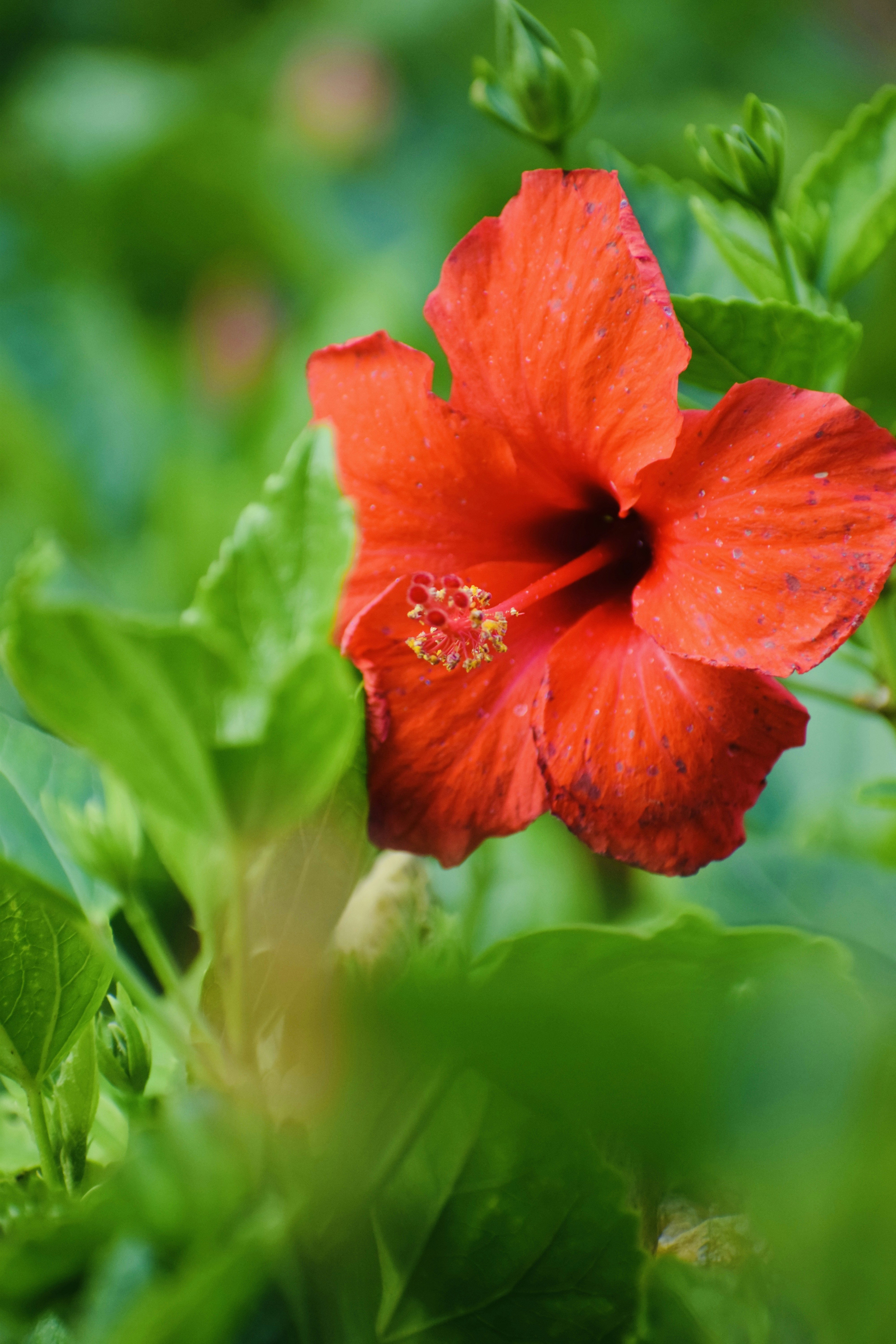 Photo by theushakiran