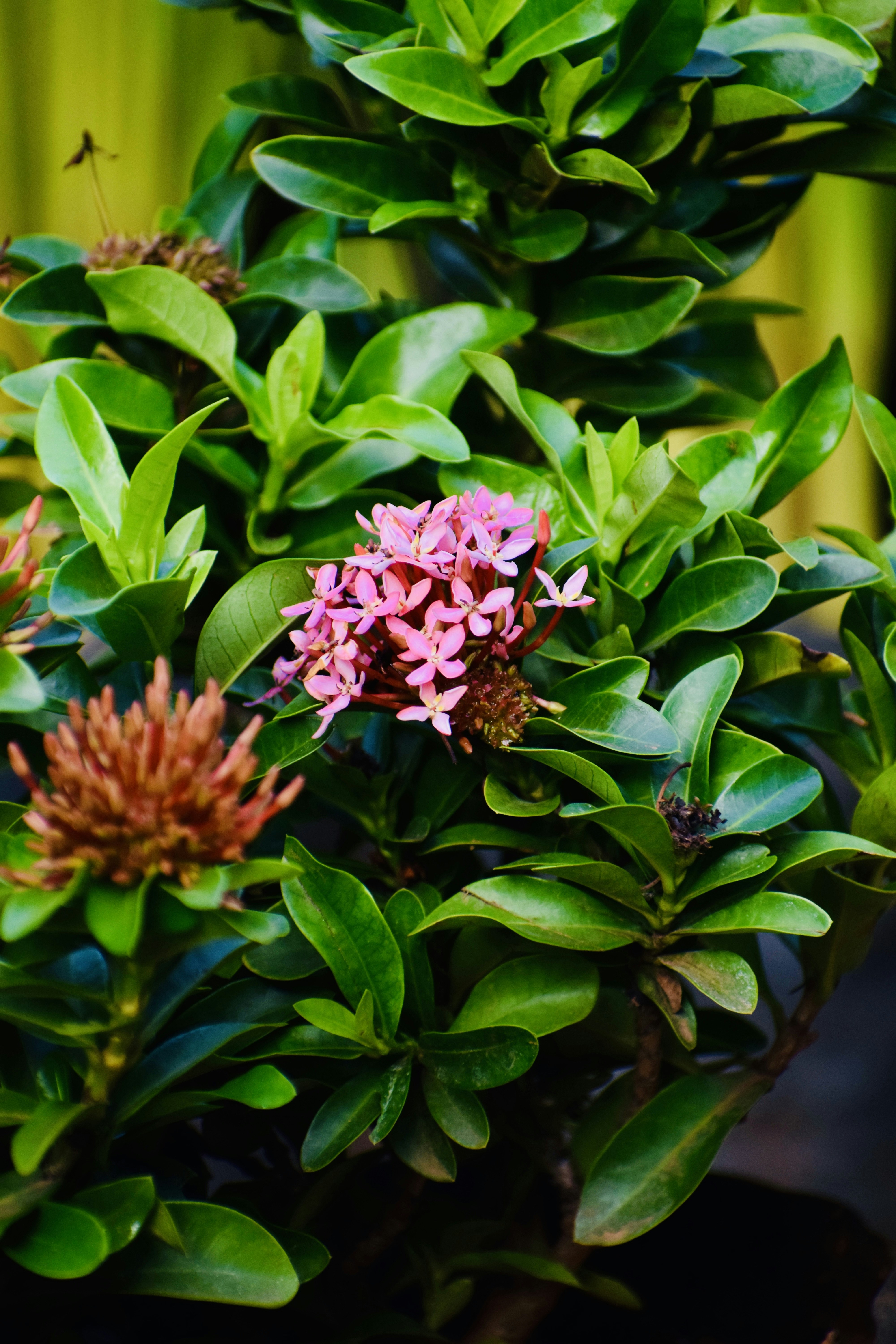 Photo by theushakiran