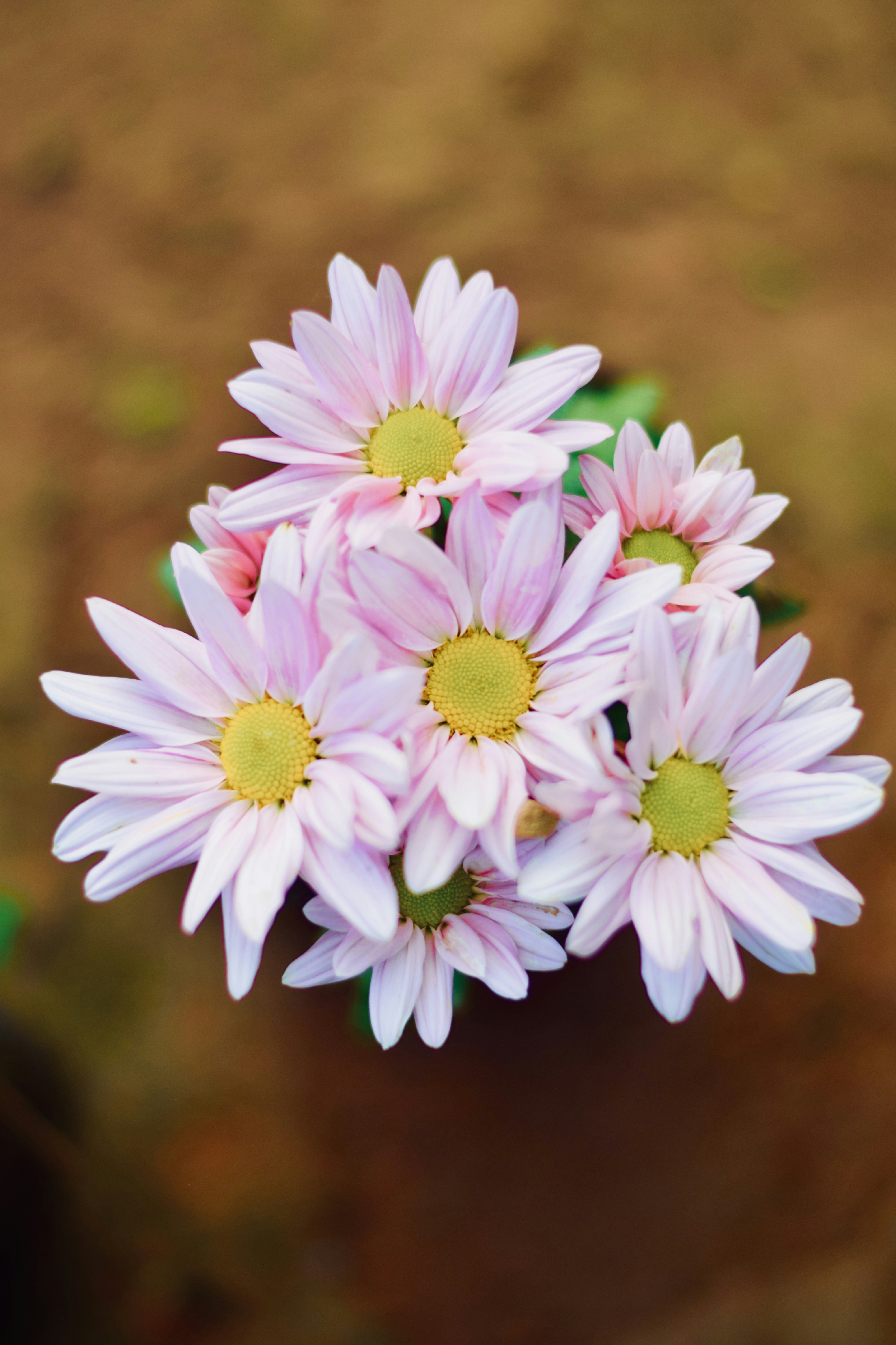 Photo by theushakiran