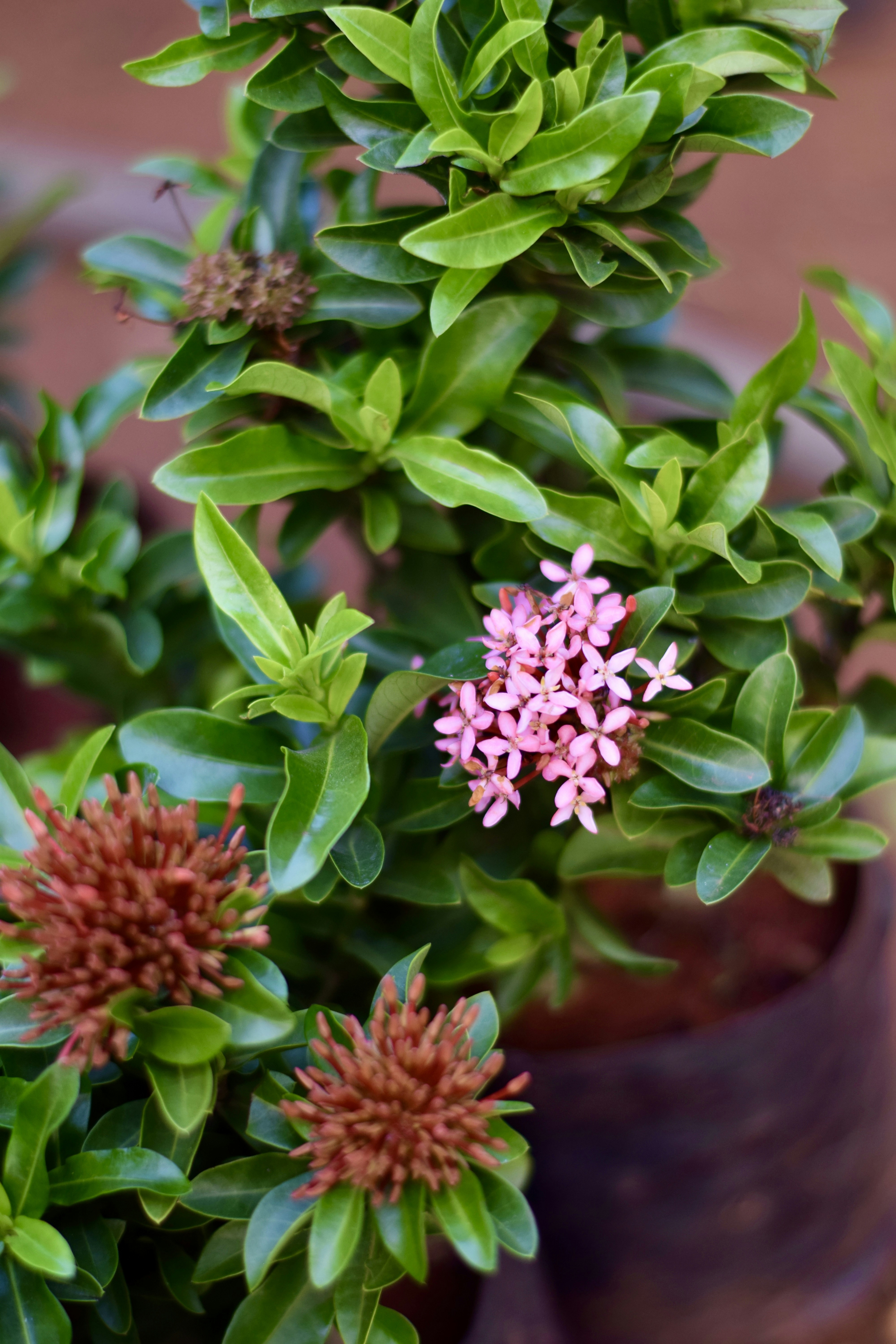 Photo by theushakiran