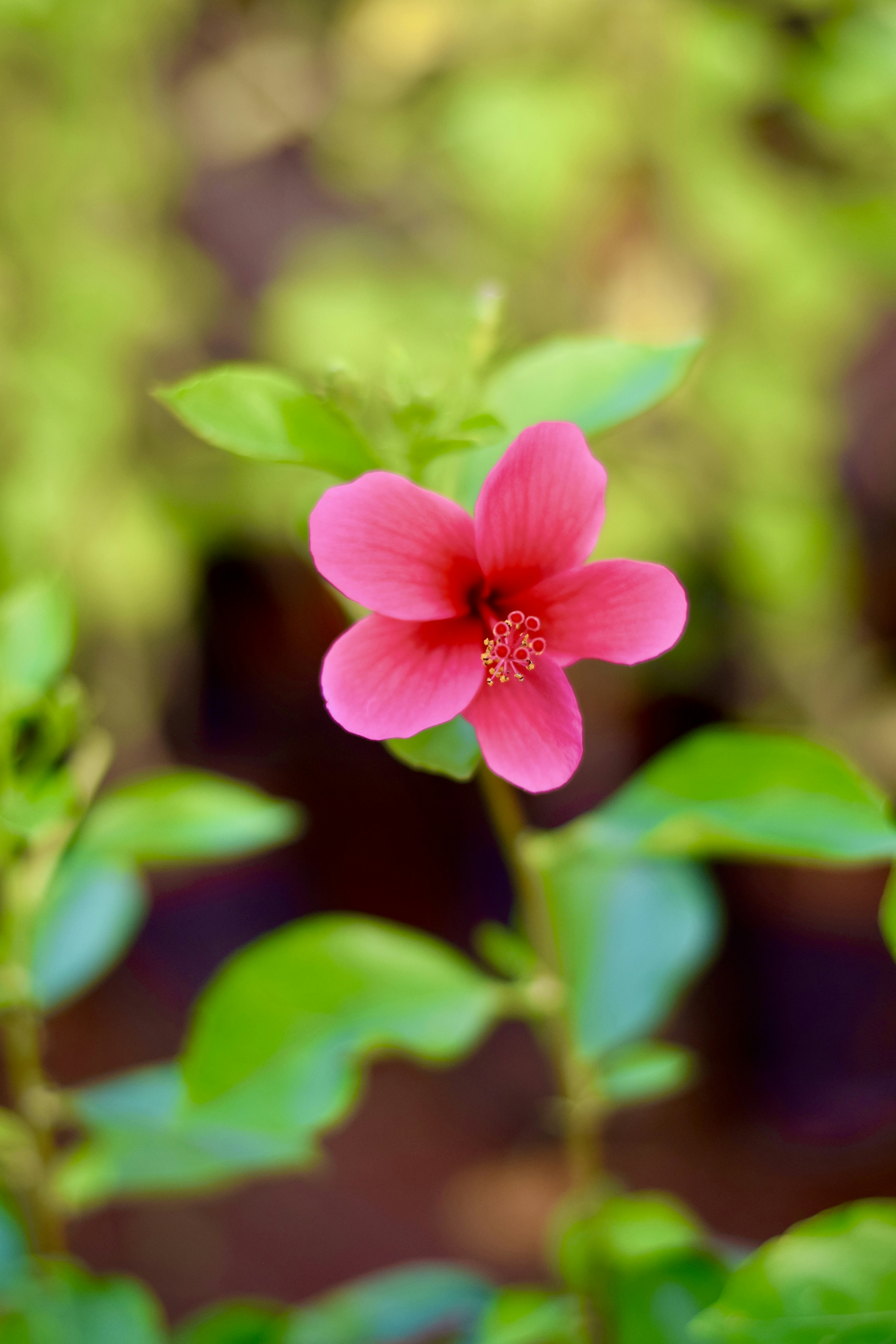 Photo by theushakiran