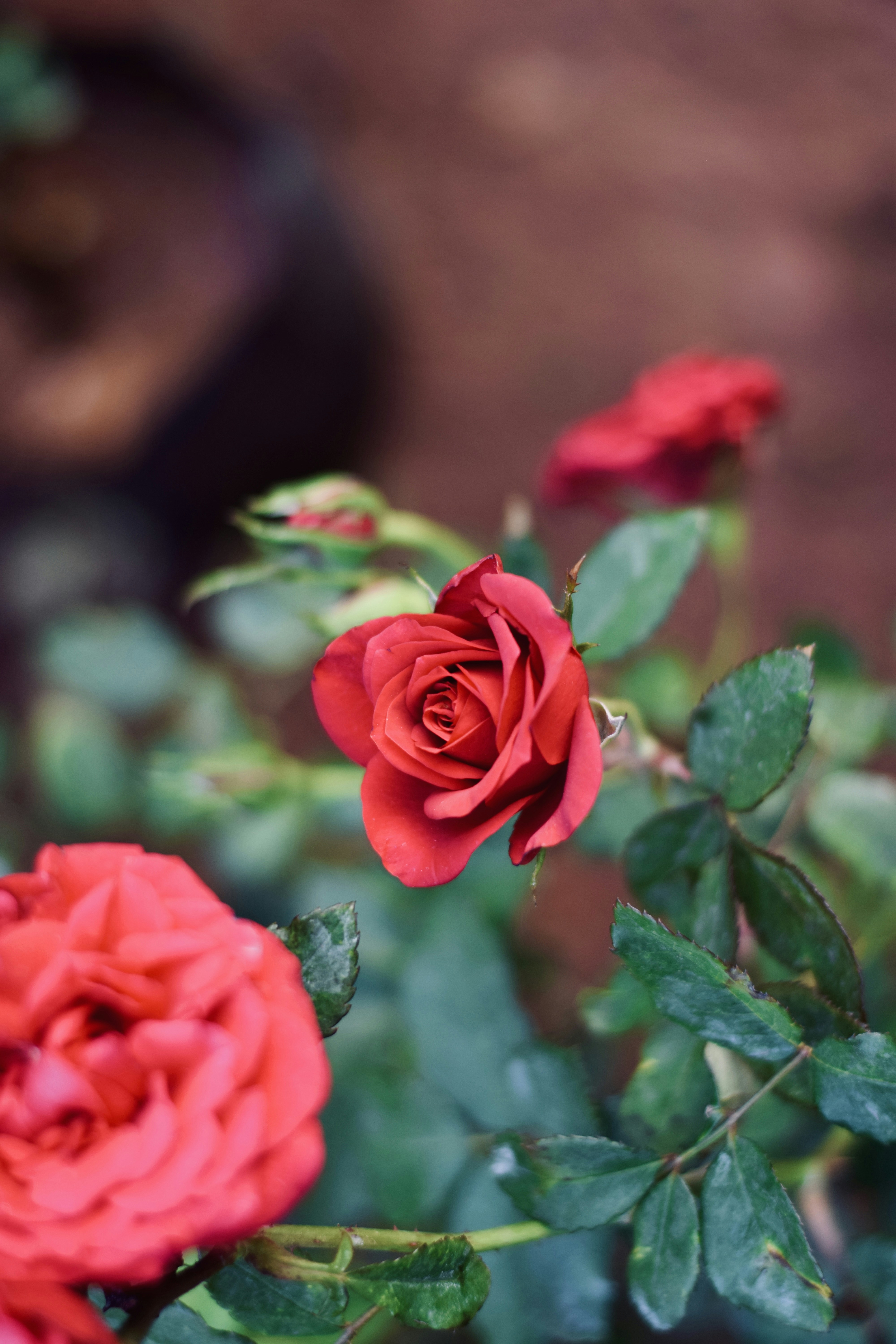 Photo by theushakiran