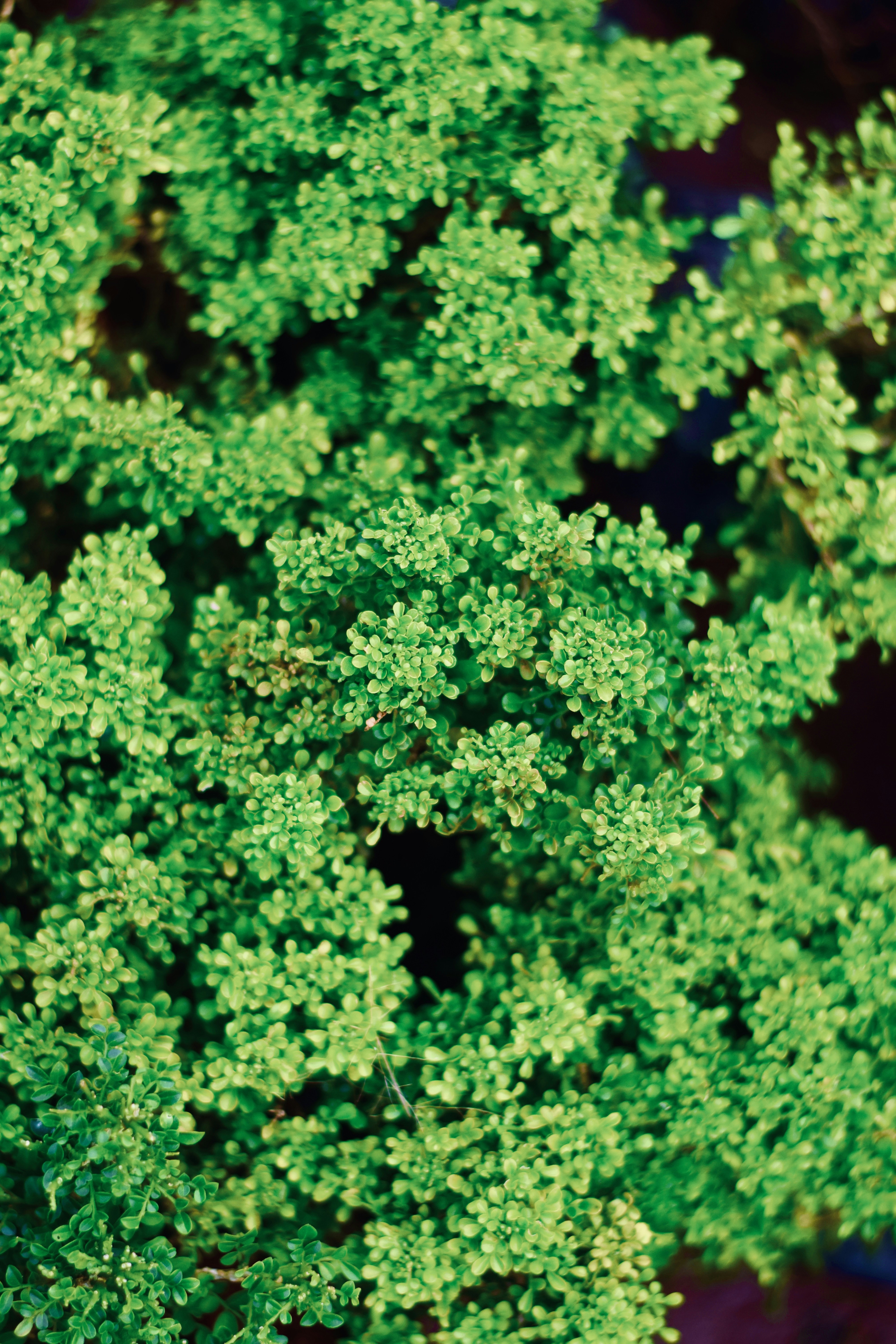 Photo by theushakiran