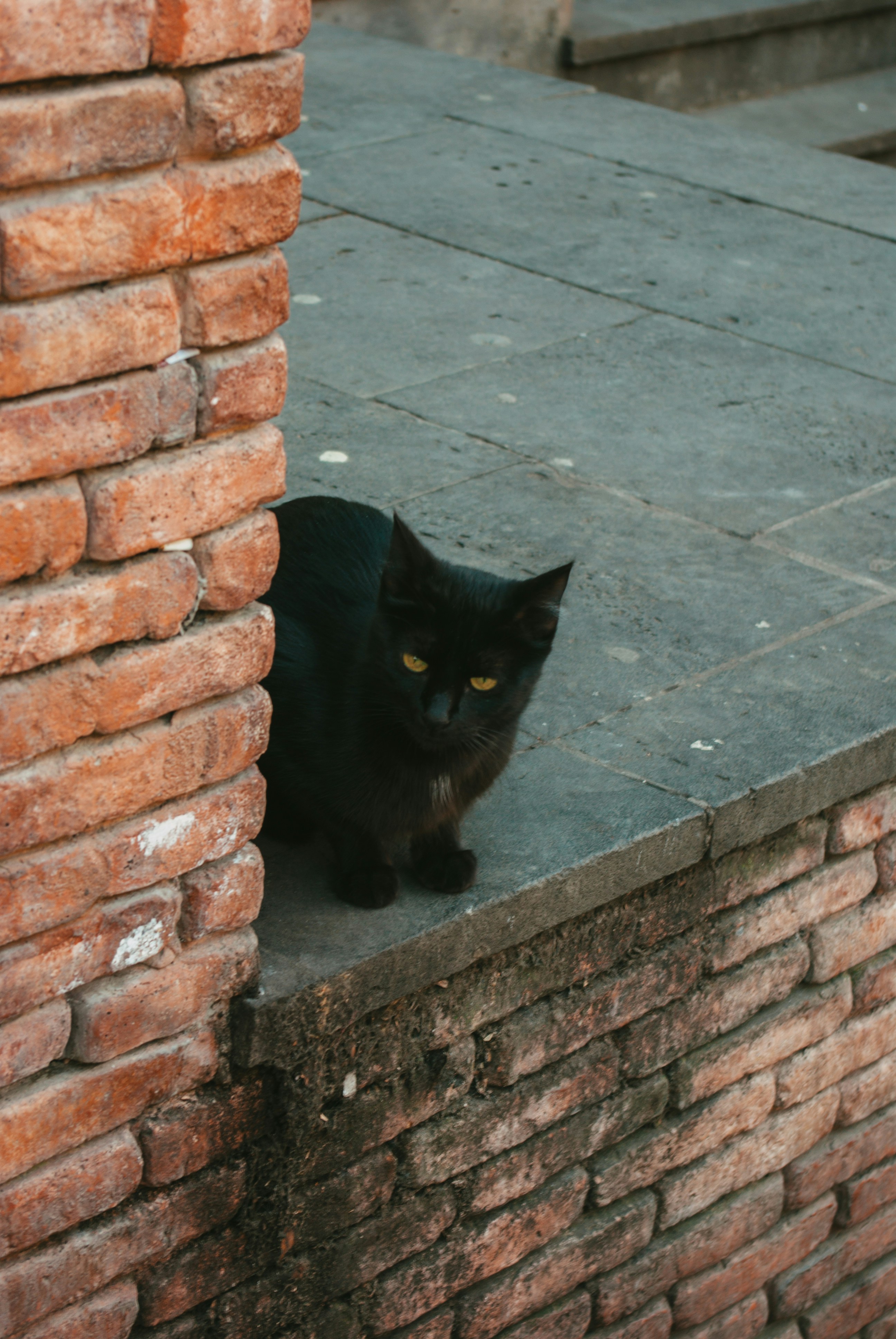 Photo by moonmoons_days